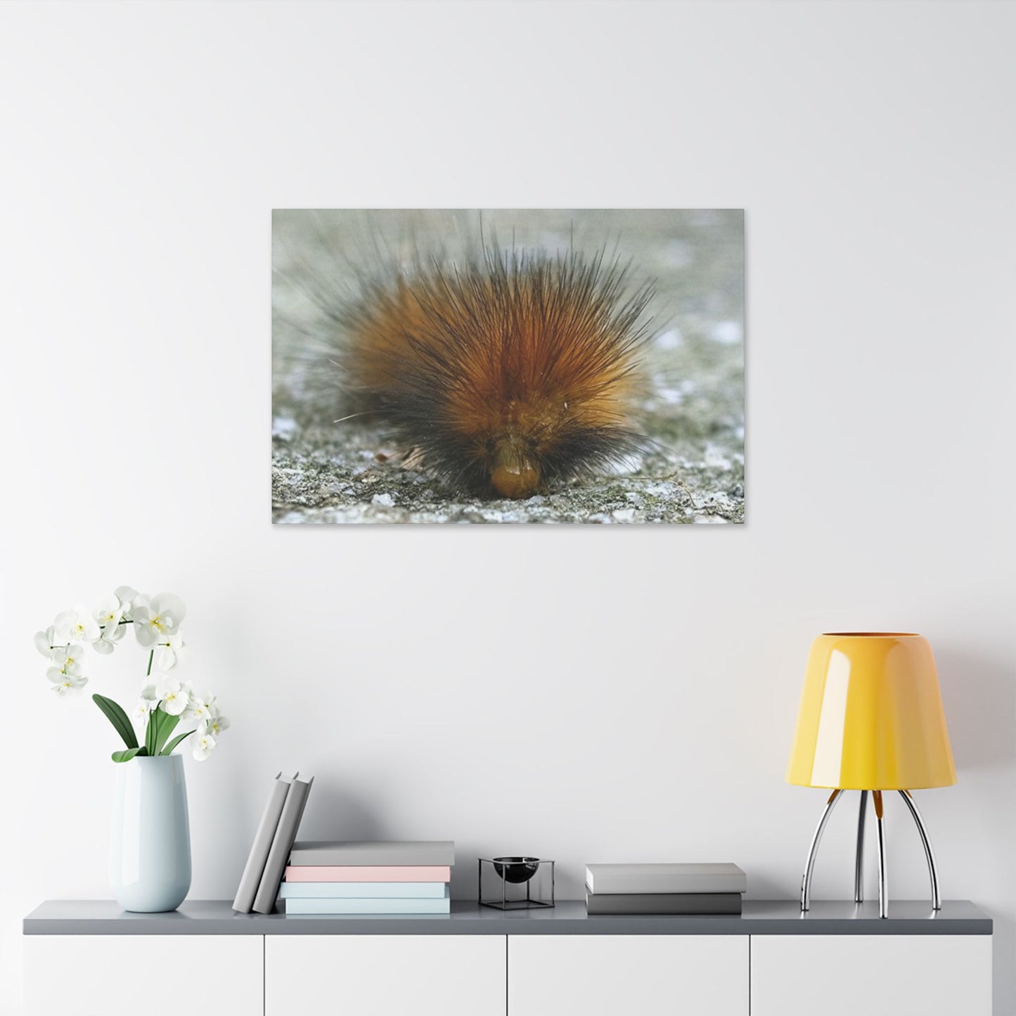 Classic Stretched Canvas - Platypillar