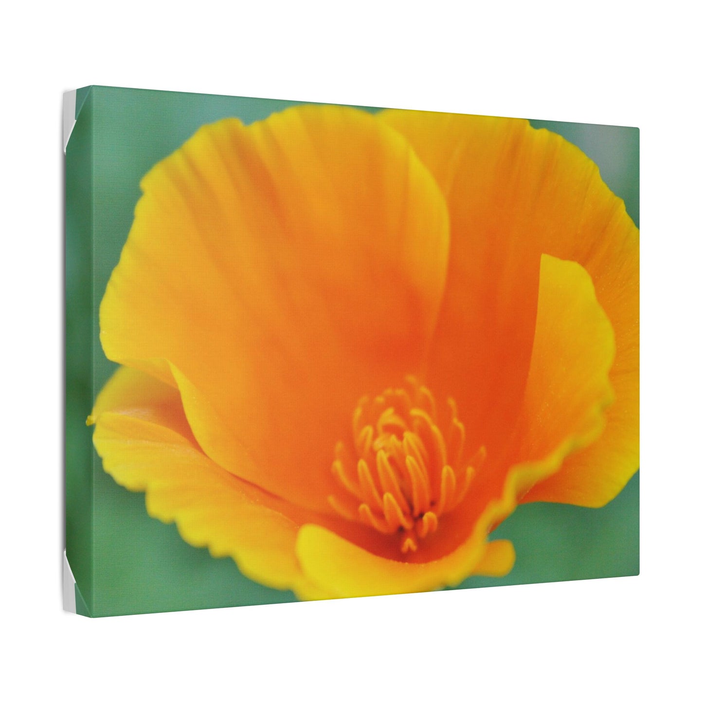 Classic Stretched Canvas
