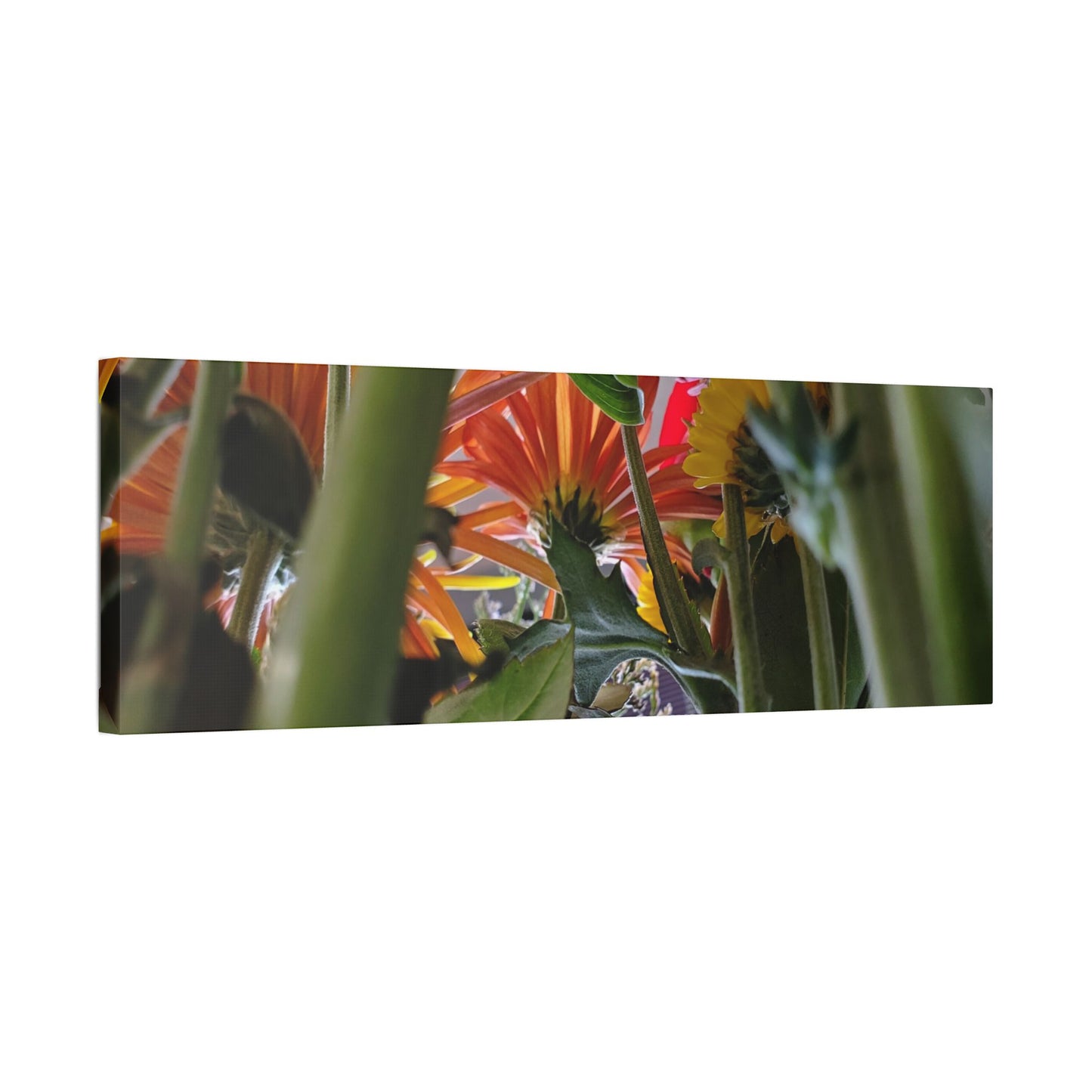 Classic Stretched Canvas