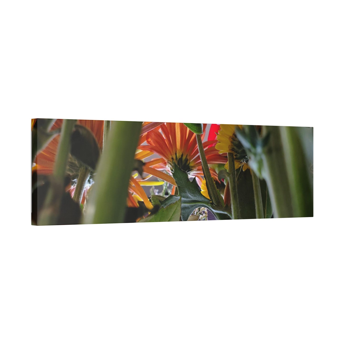 Classic Stretched Canvas