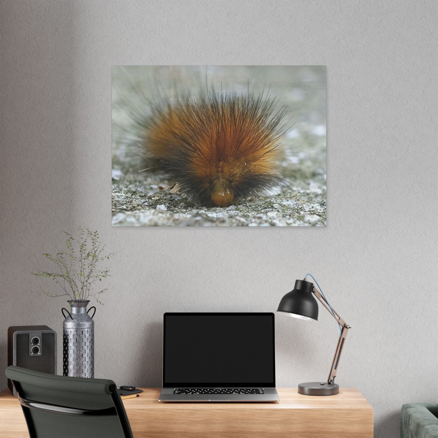 Classic Stretched Canvas - Platypillar