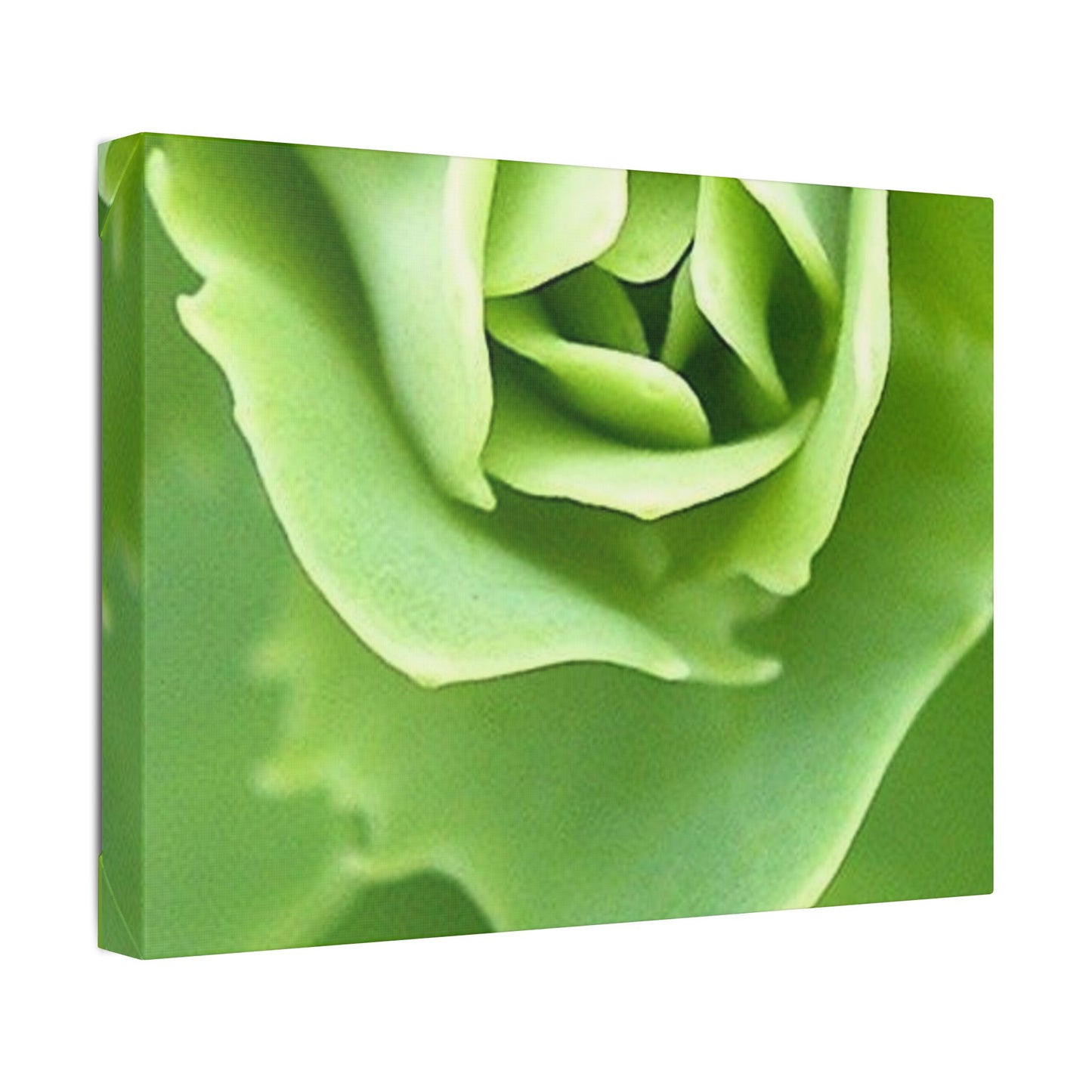 Classic Stretched Canvas