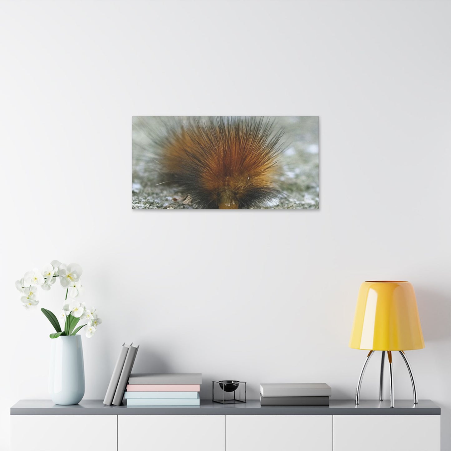 Classic Stretched Canvas - Platypillar