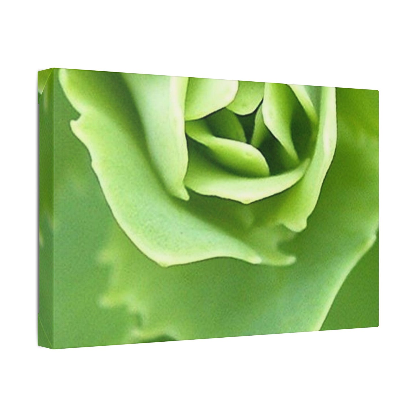 Classic Stretched Canvas