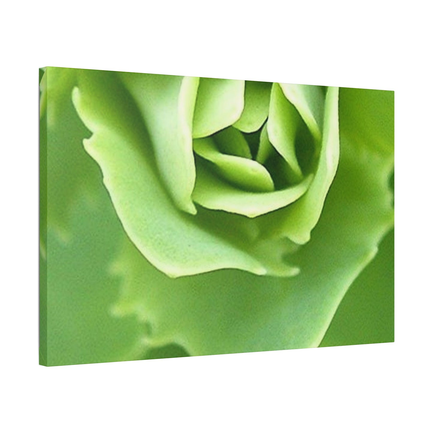 Classic Stretched Canvas