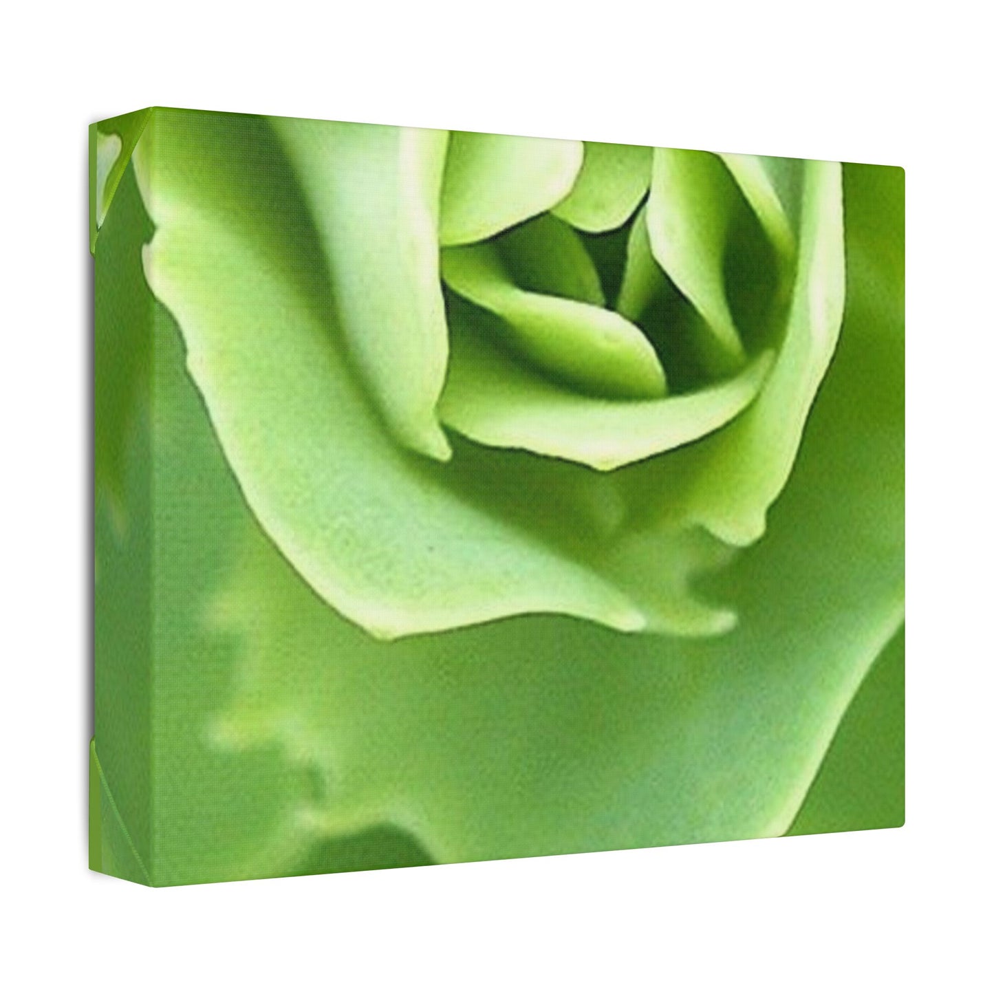 Classic Stretched Canvas