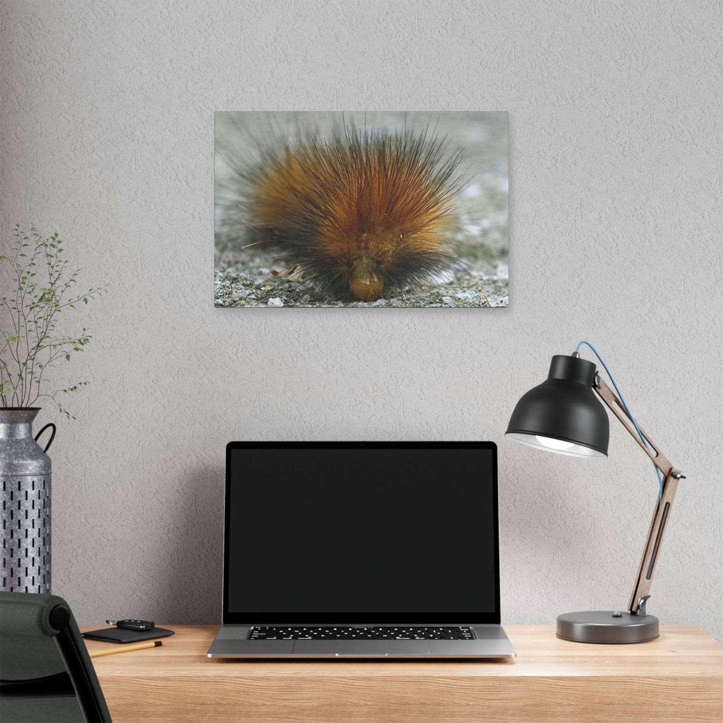 Classic Stretched Canvas - Platypillar