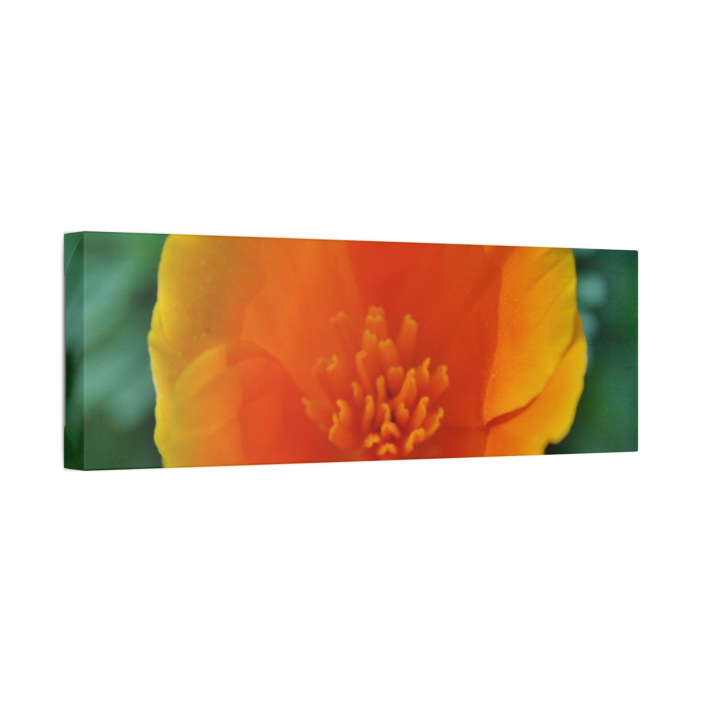 Classic Stretched Canvas