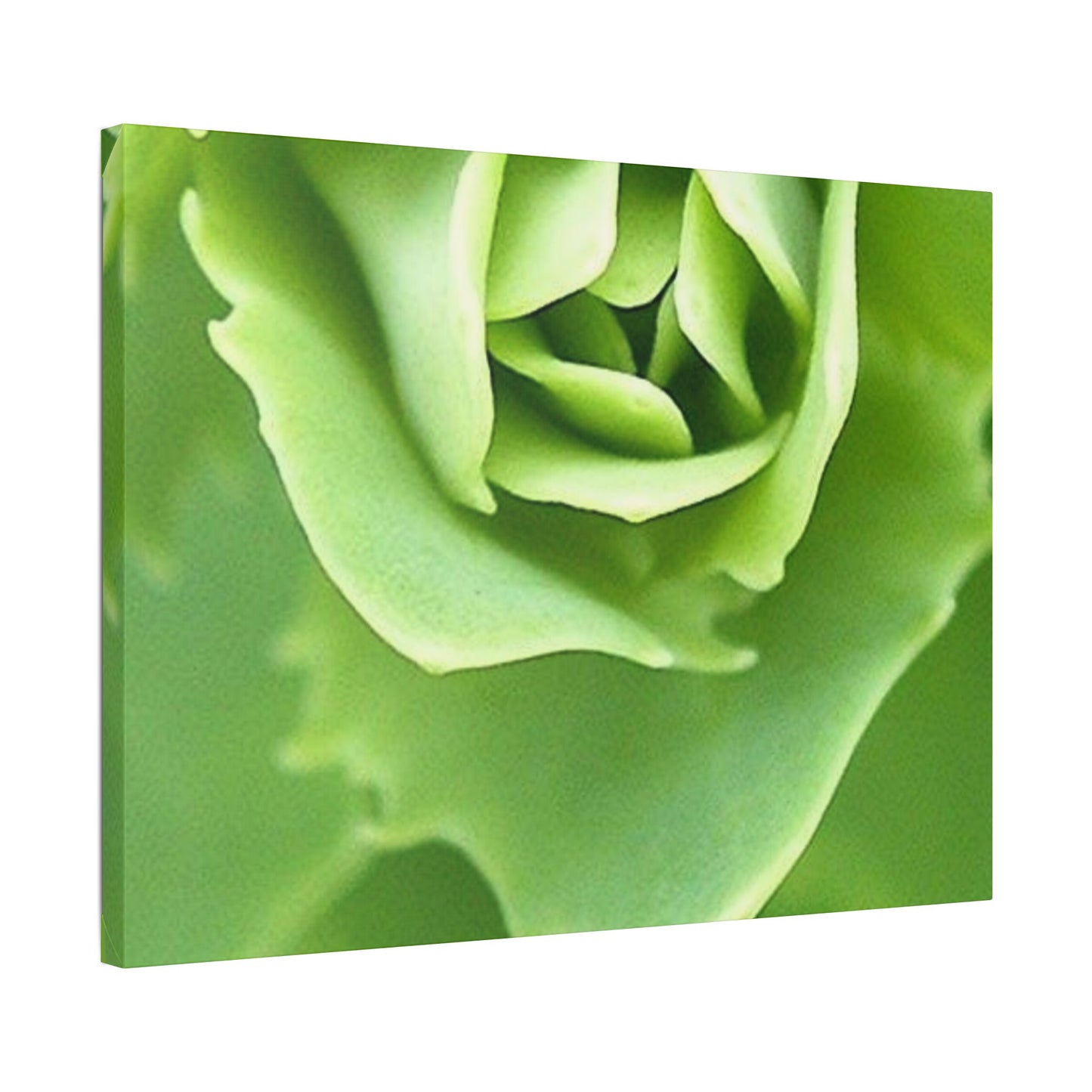 Classic Stretched Canvas