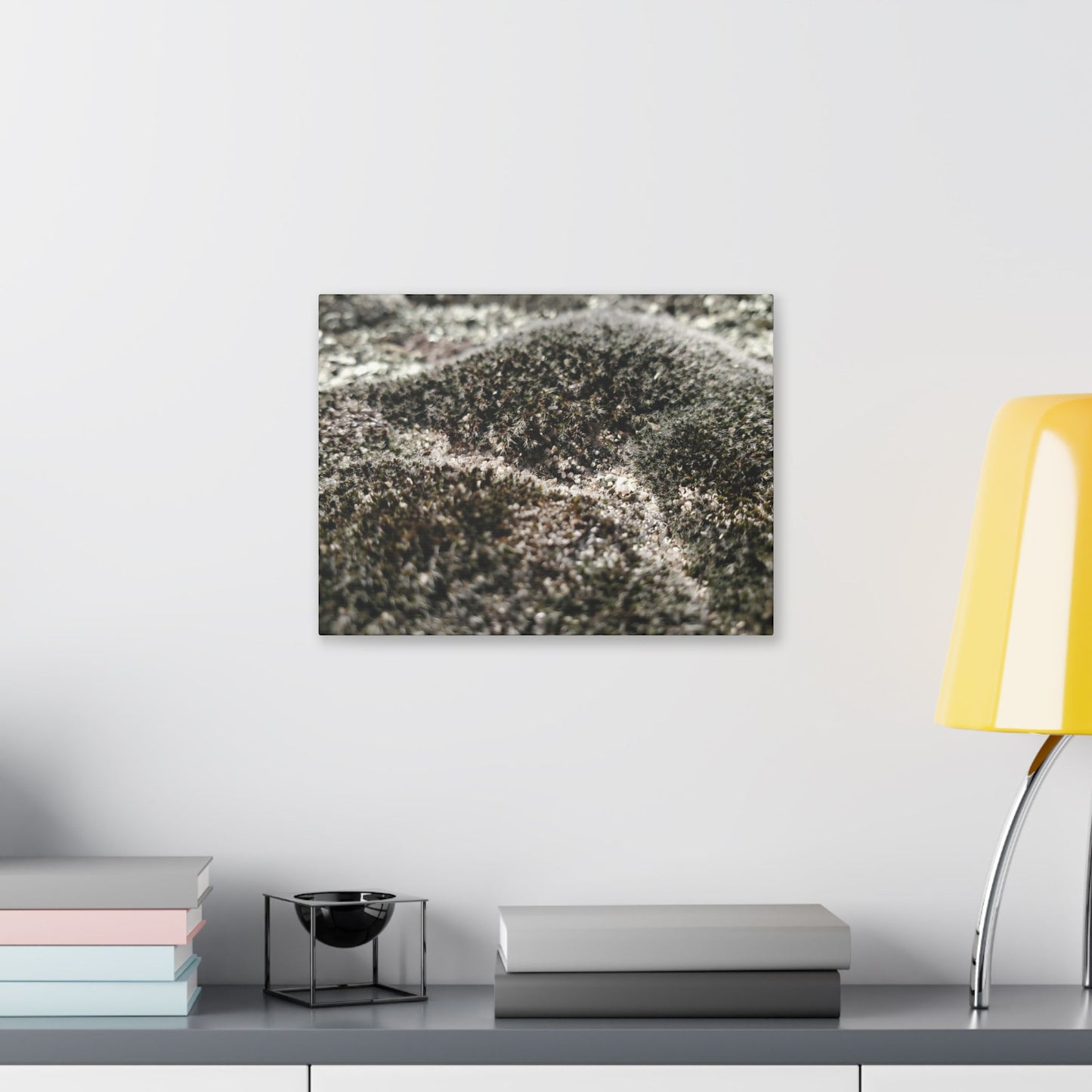 Classic Stretched Canvas - Moss