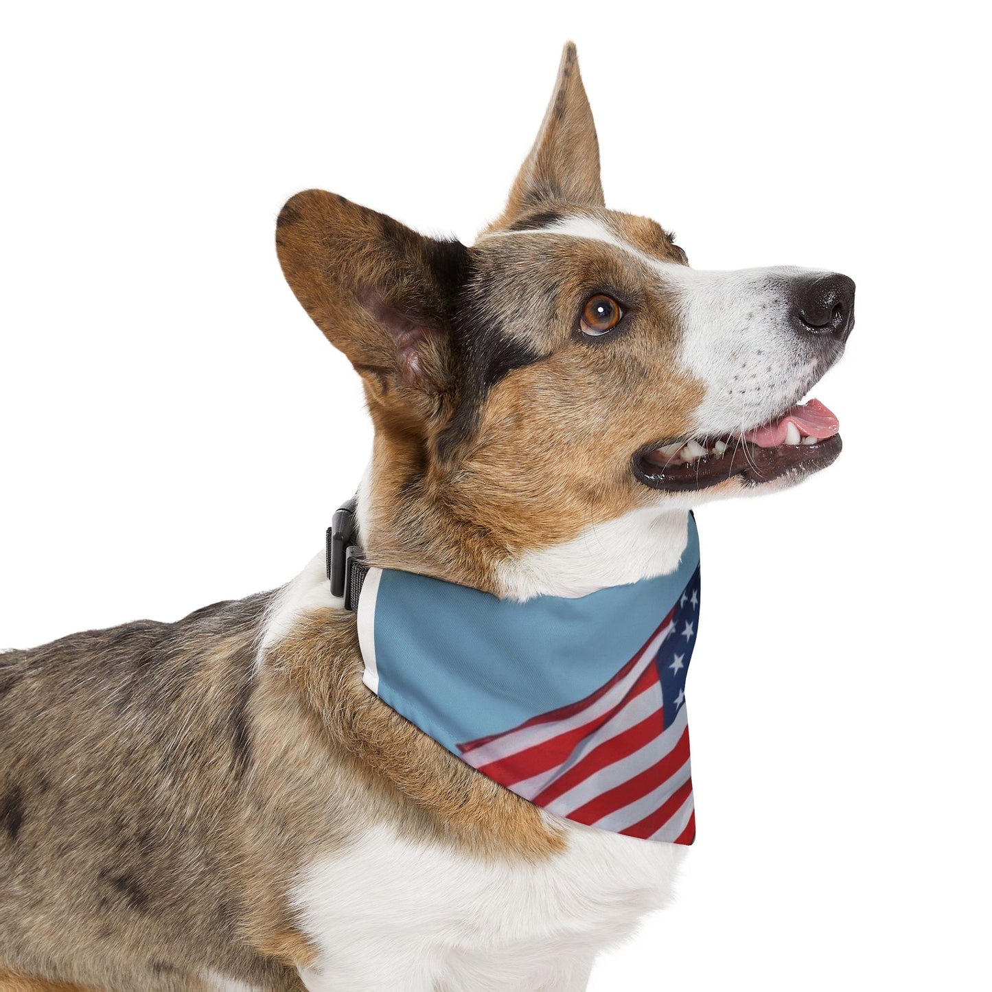 Pet Bandana Collar - USA Flag