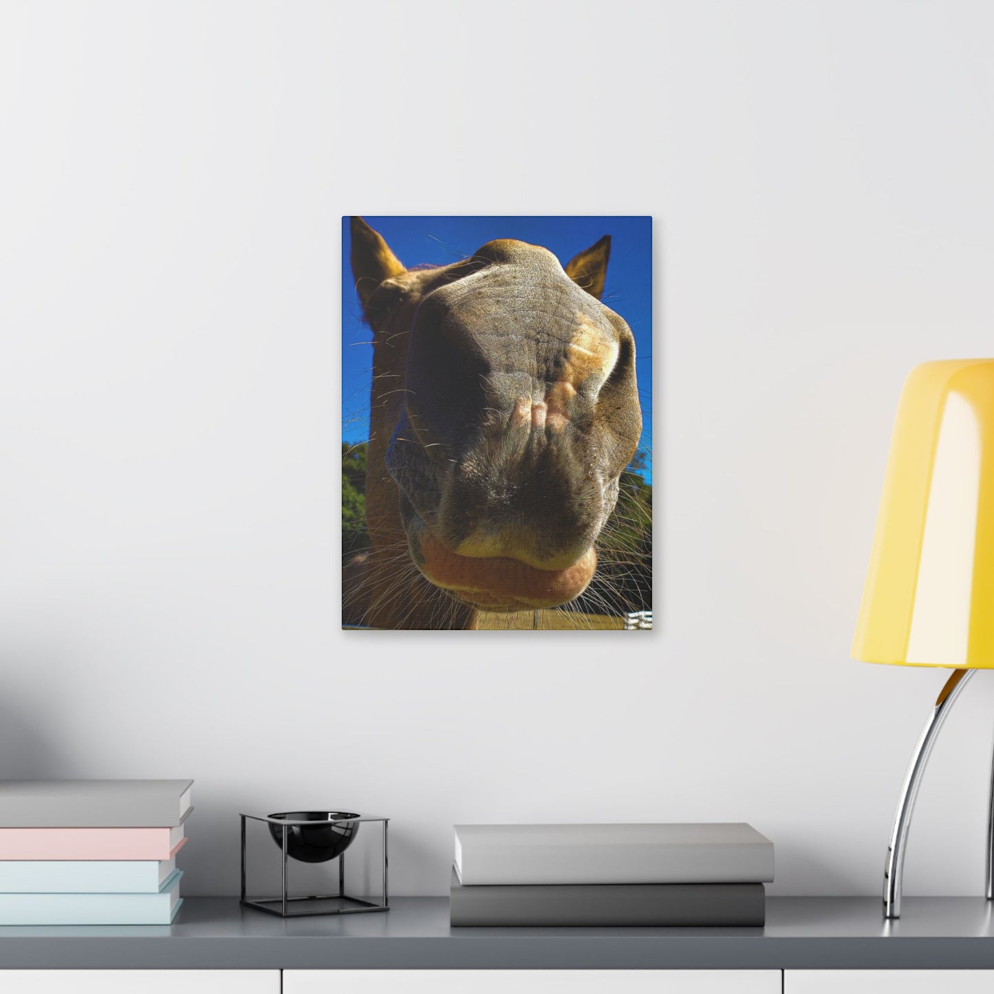 Classic Stretched Canvas - Its A Horse Of Course