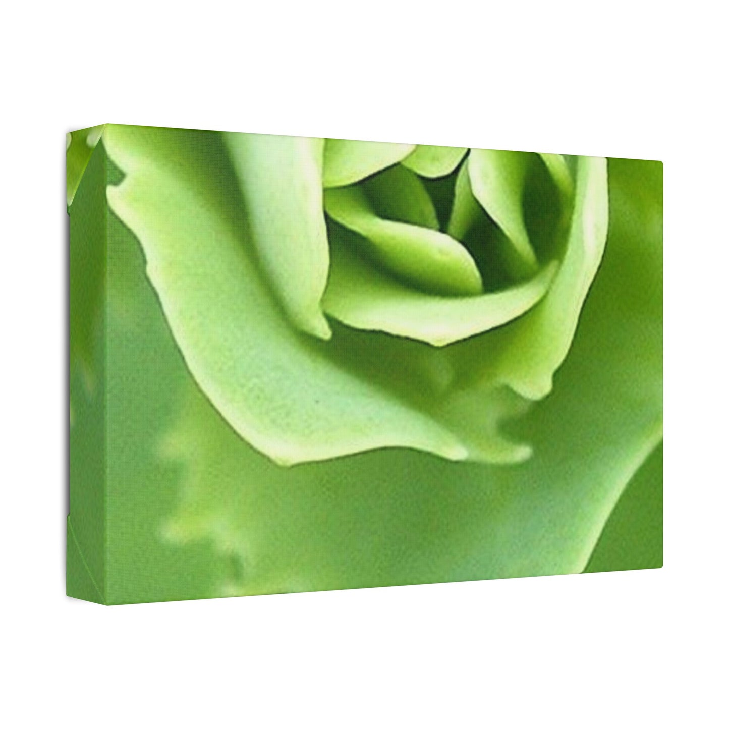 Classic Stretched Canvas