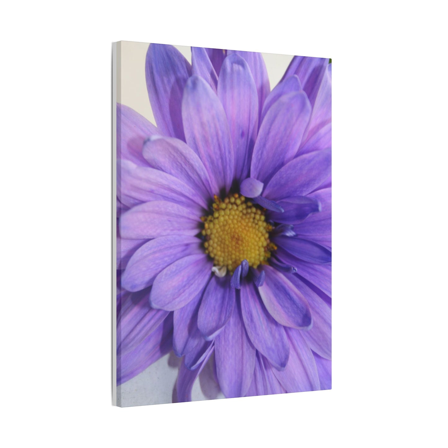 Classic Stretched Canvas