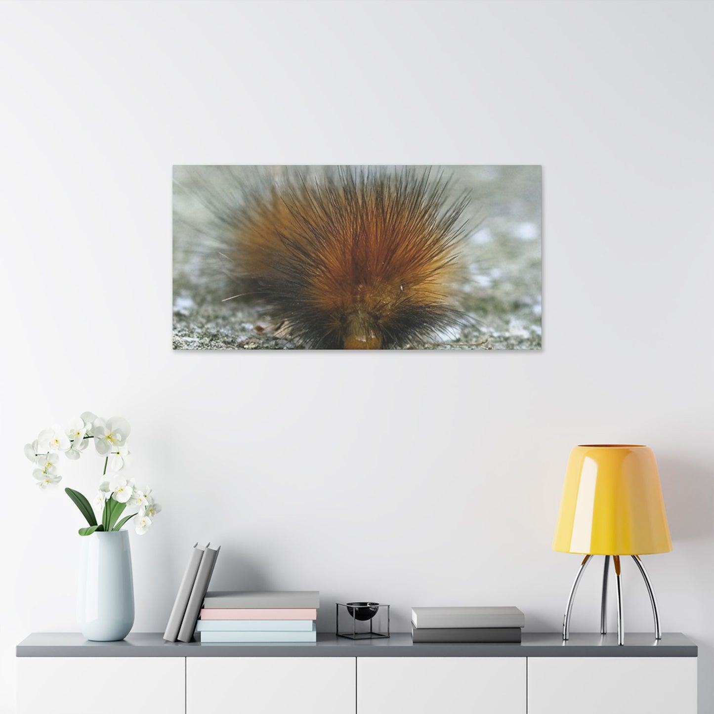 Classic Stretched Canvas - Platypillar