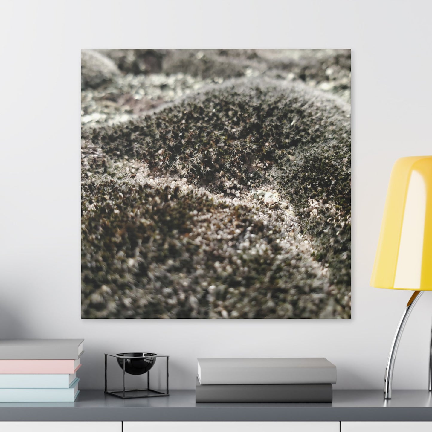 Classic Stretched Canvas - Moss