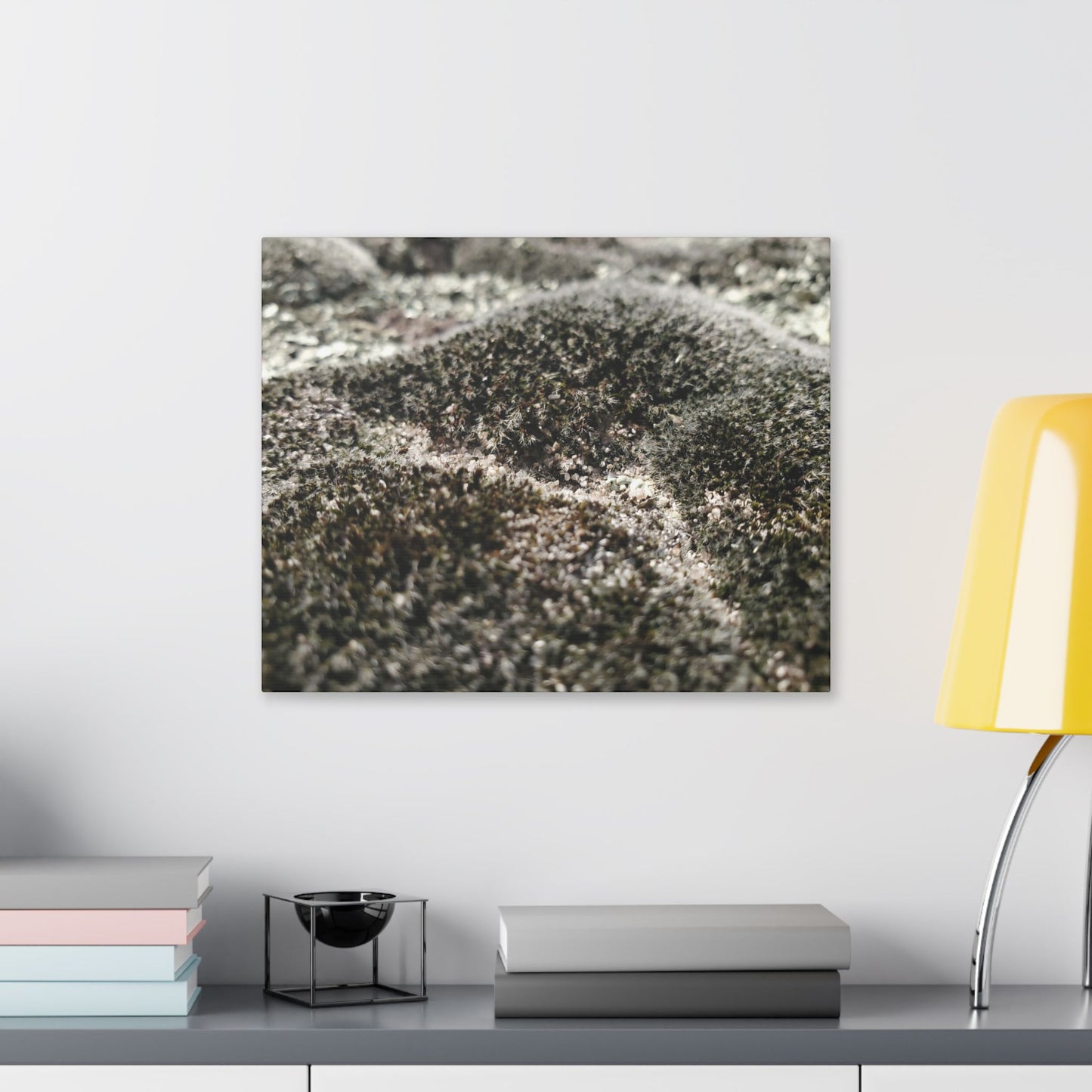 Classic Stretched Canvas - Moss