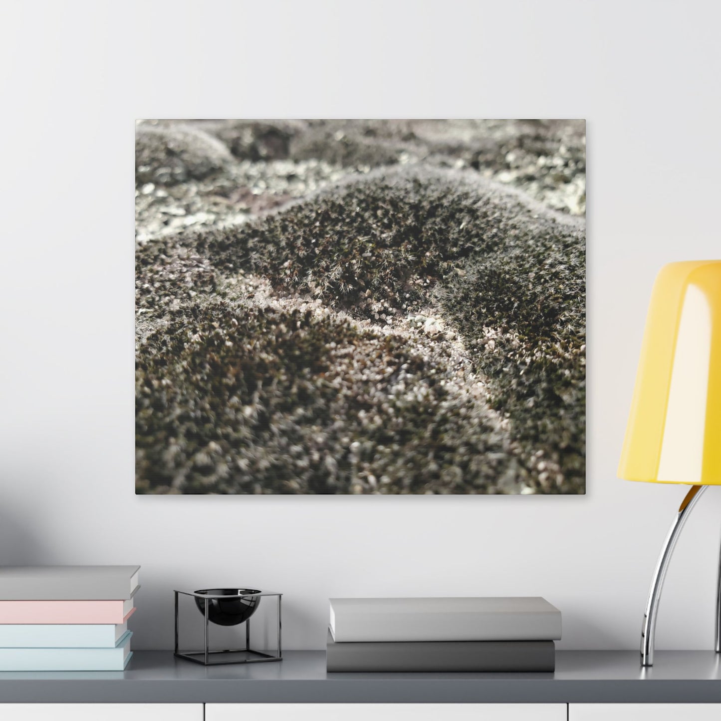 Classic Stretched Canvas - Moss
