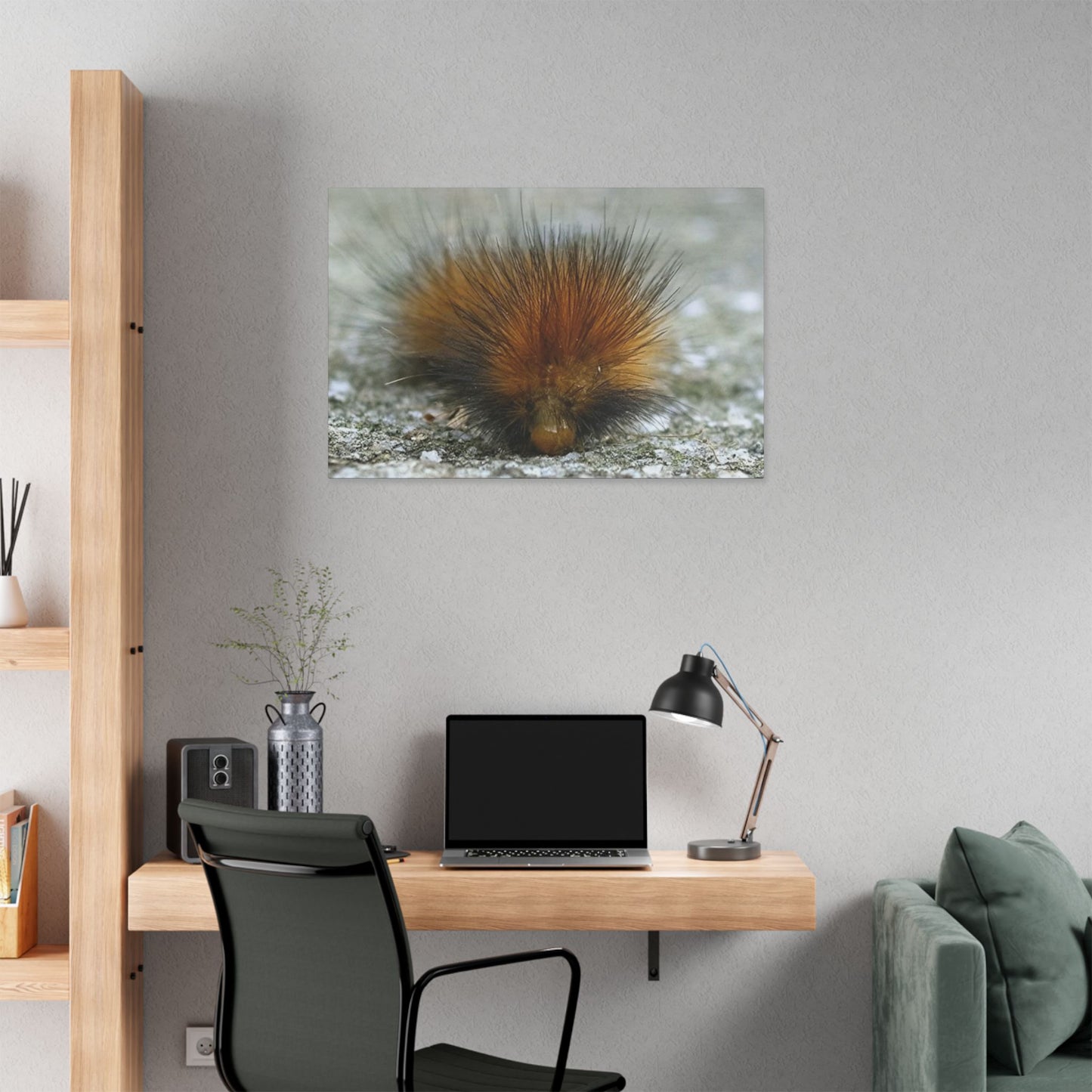 Classic Stretched Canvas - Platypillar