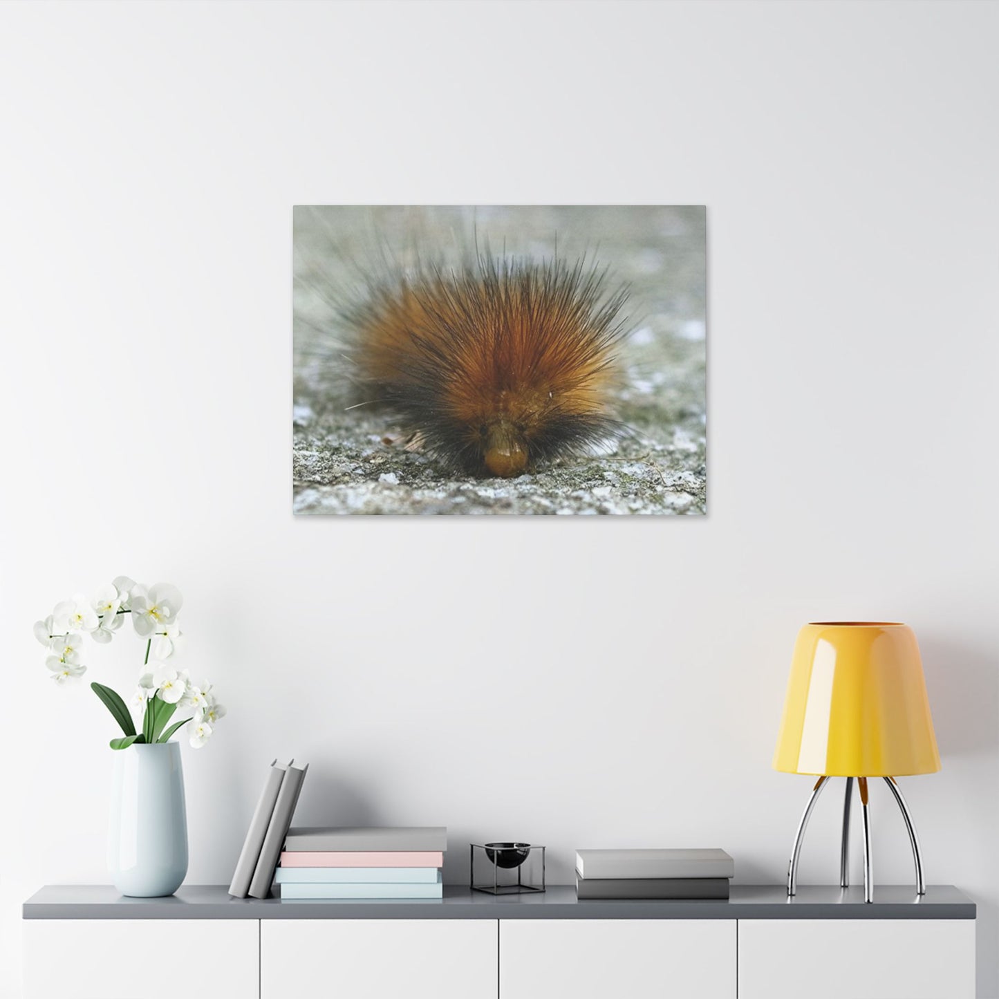 Classic Stretched Canvas - Platypillar