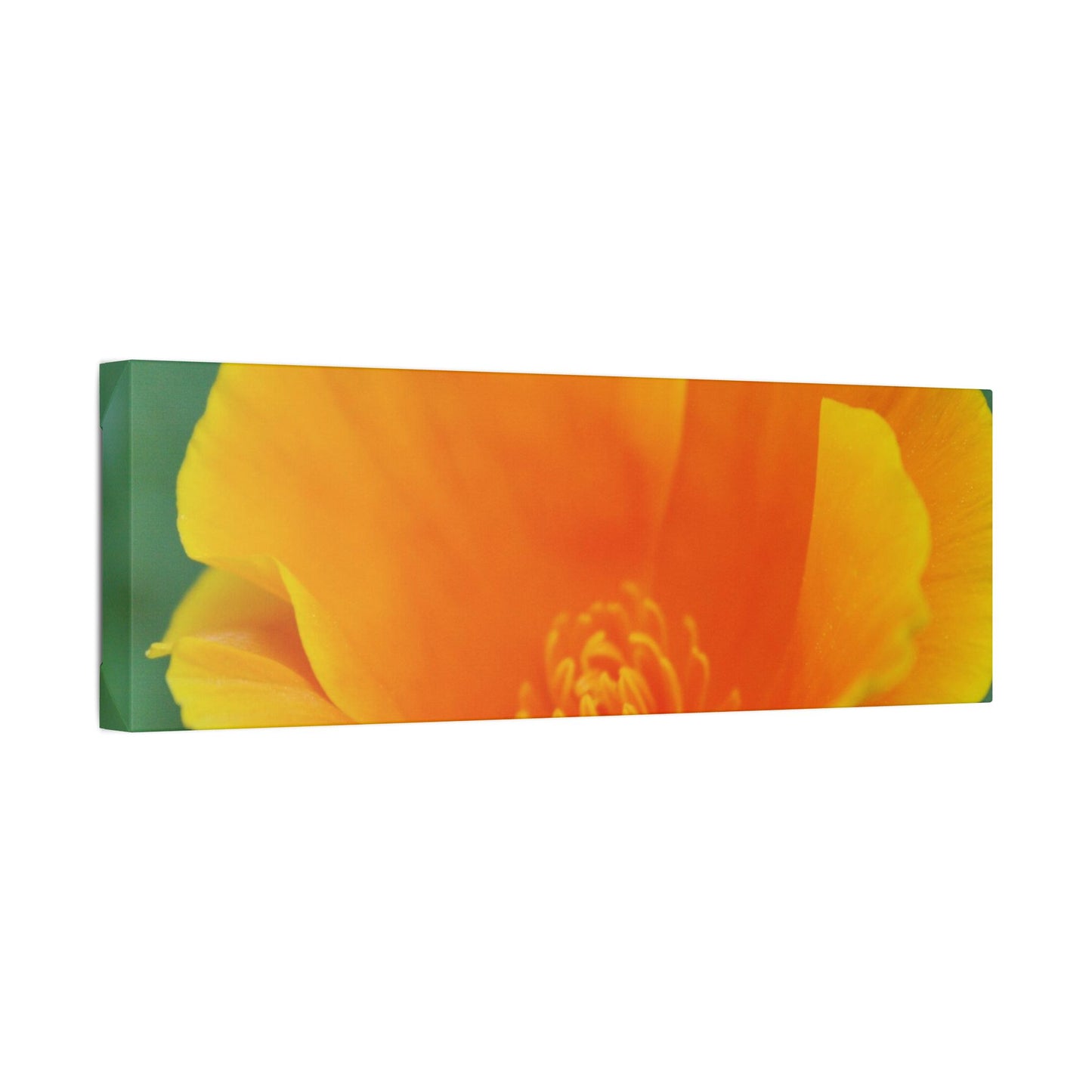 Classic Stretched Canvas