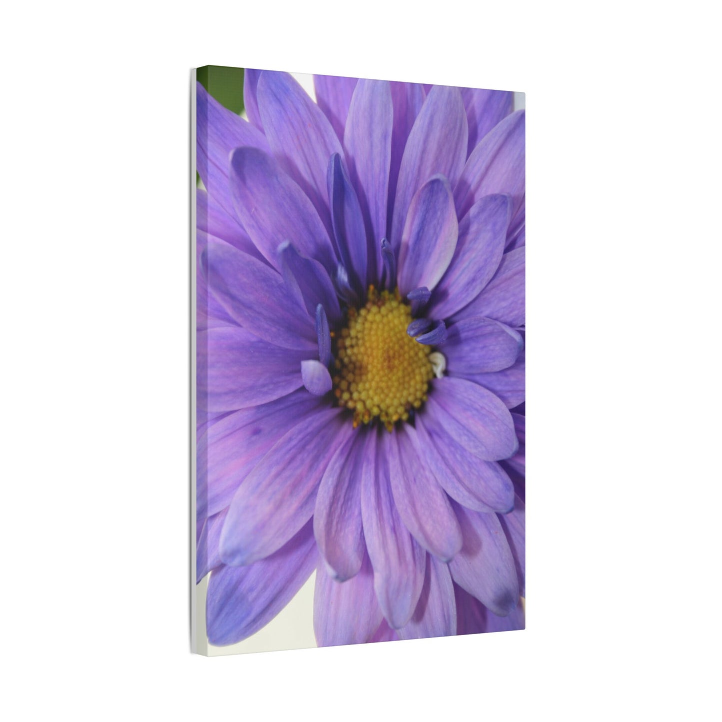 Classic Stretched Canvas