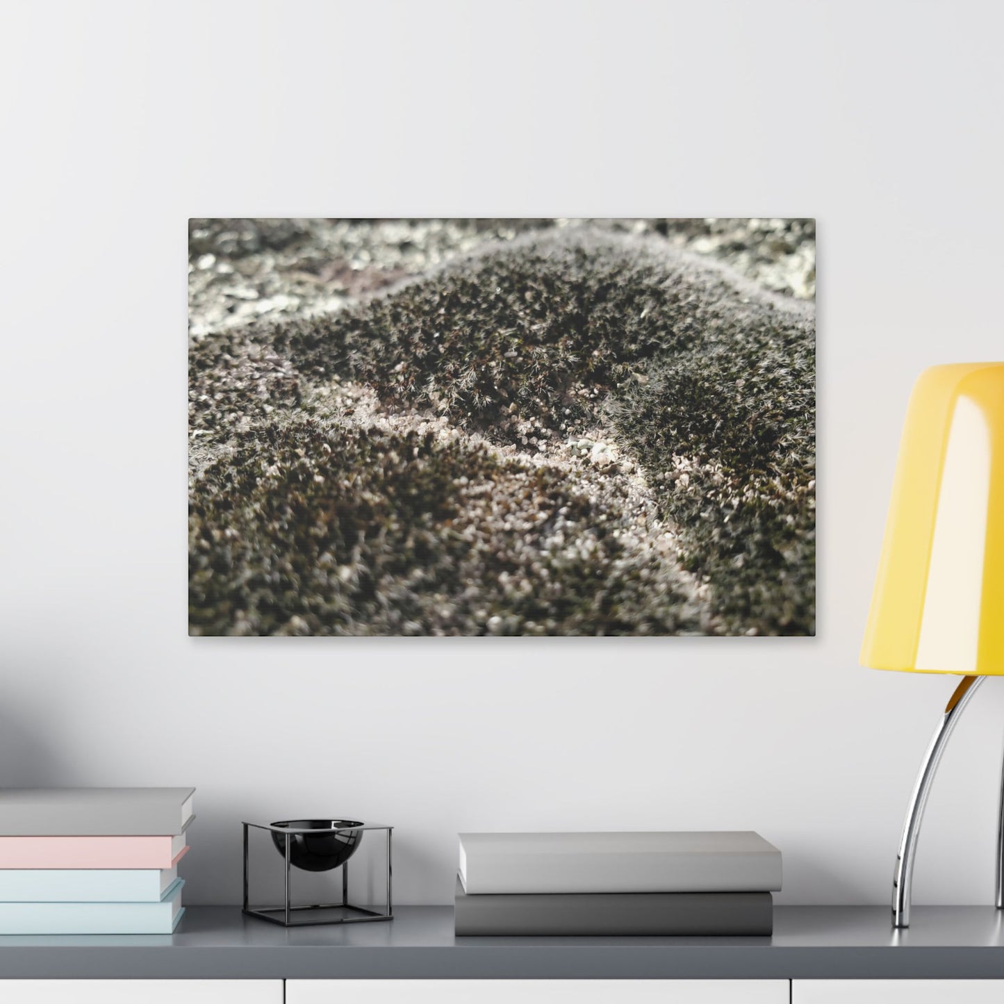 Classic Stretched Canvas - Moss