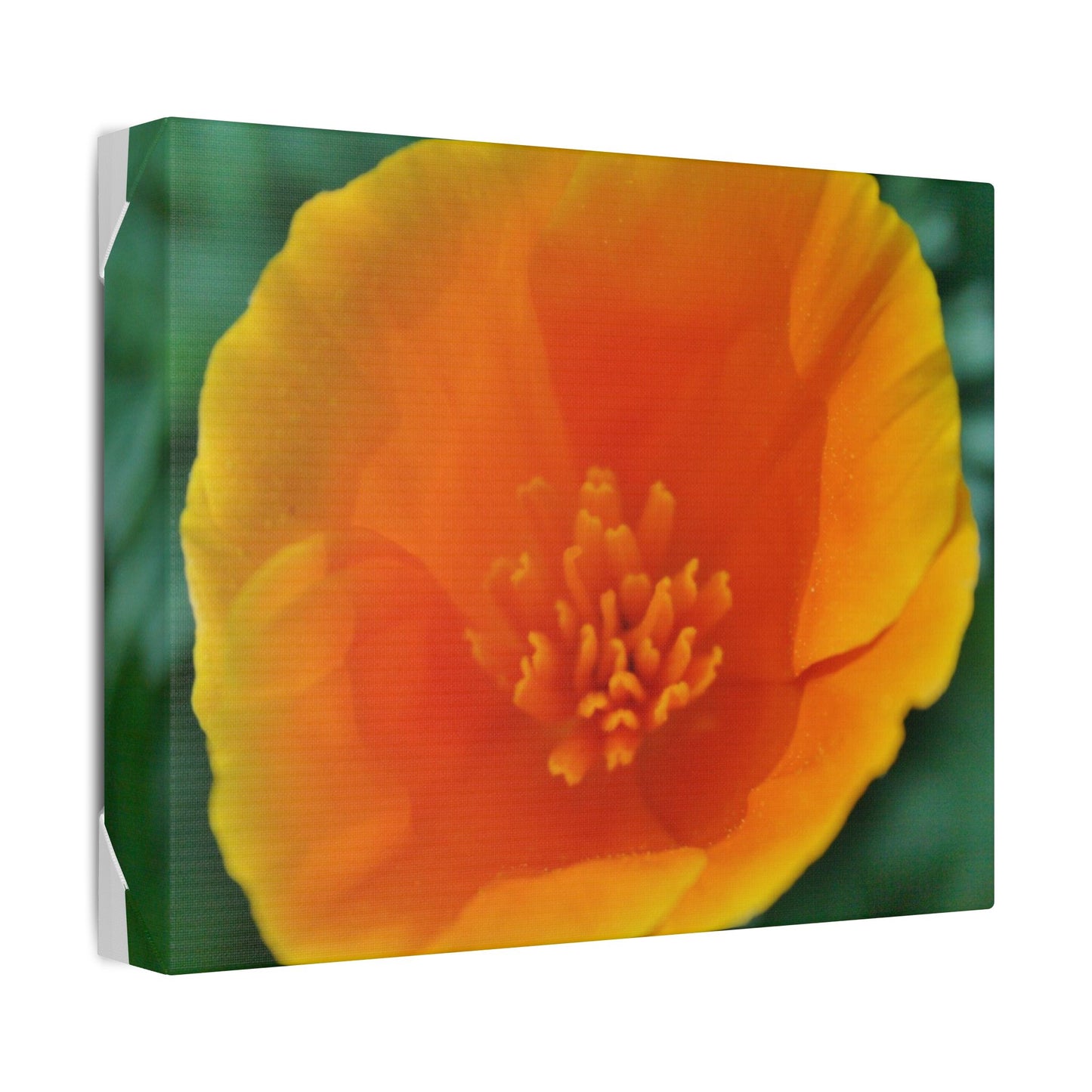 Classic Stretched Canvas