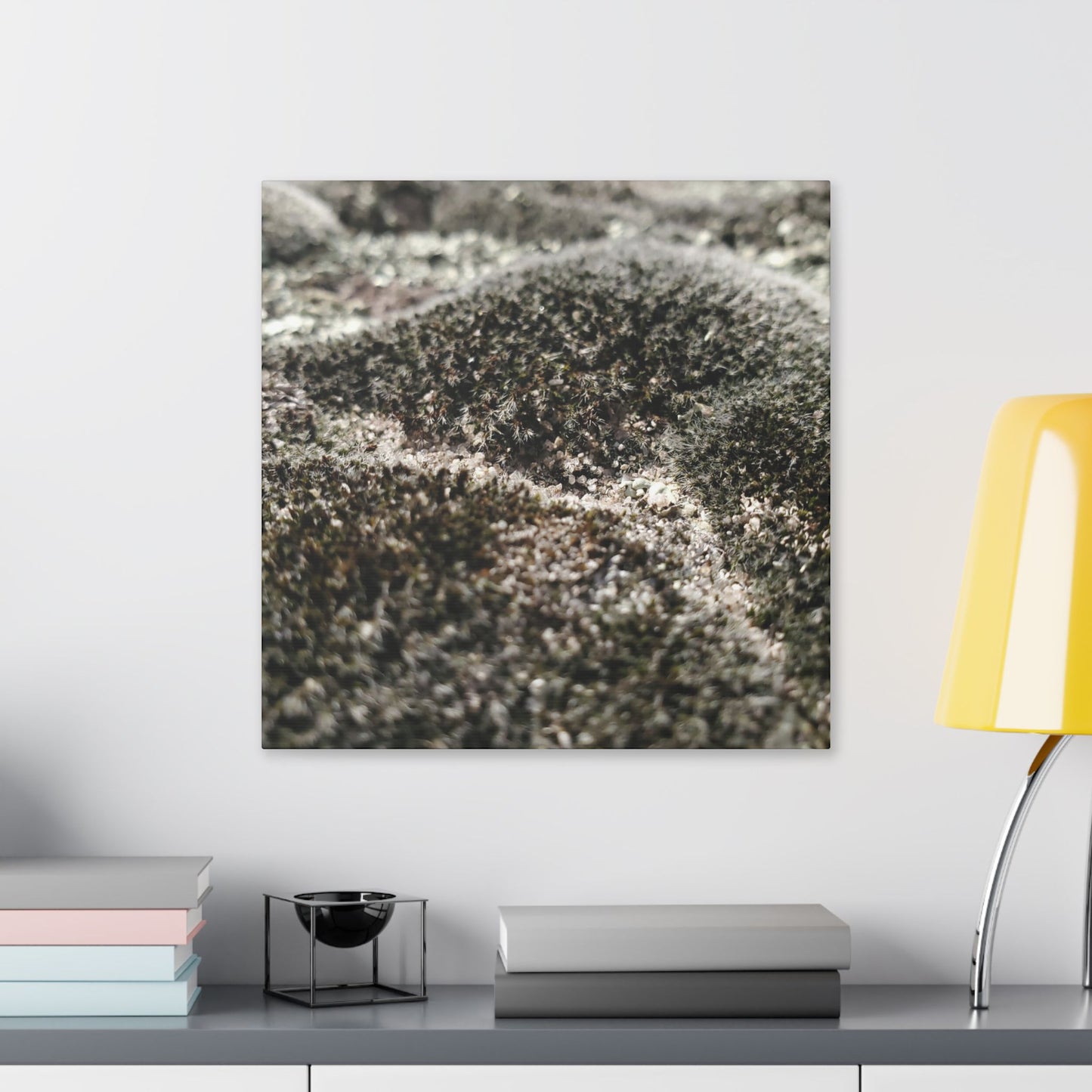 Classic Stretched Canvas - Moss