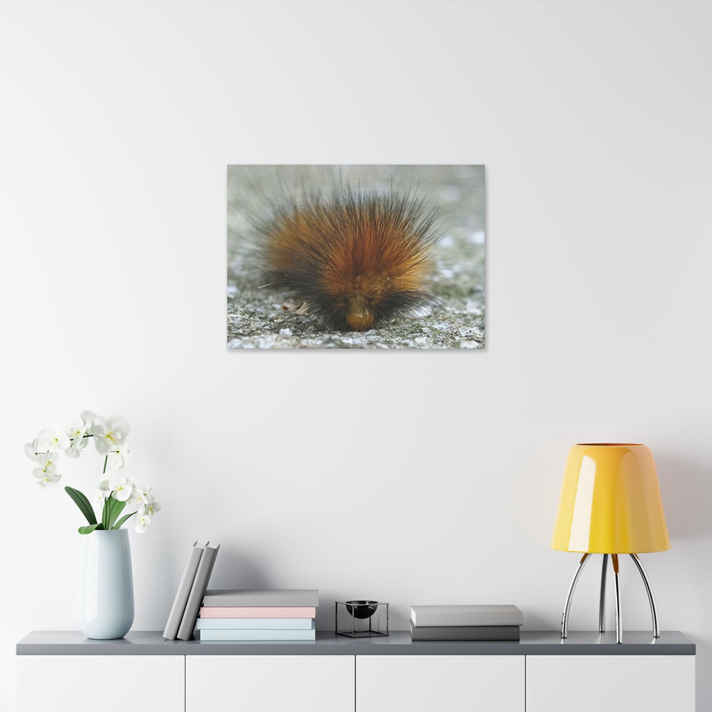 Classic Stretched Canvas - Platypillar