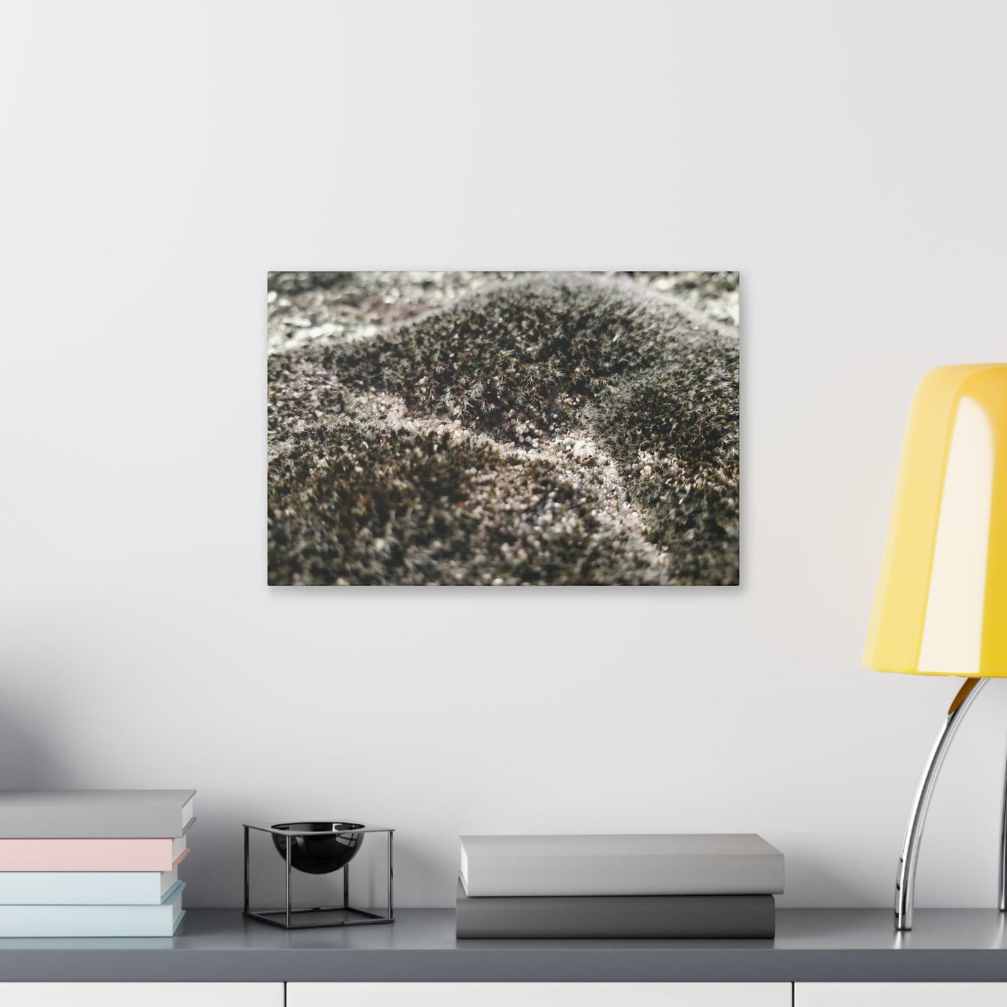 Classic Stretched Canvas - Moss