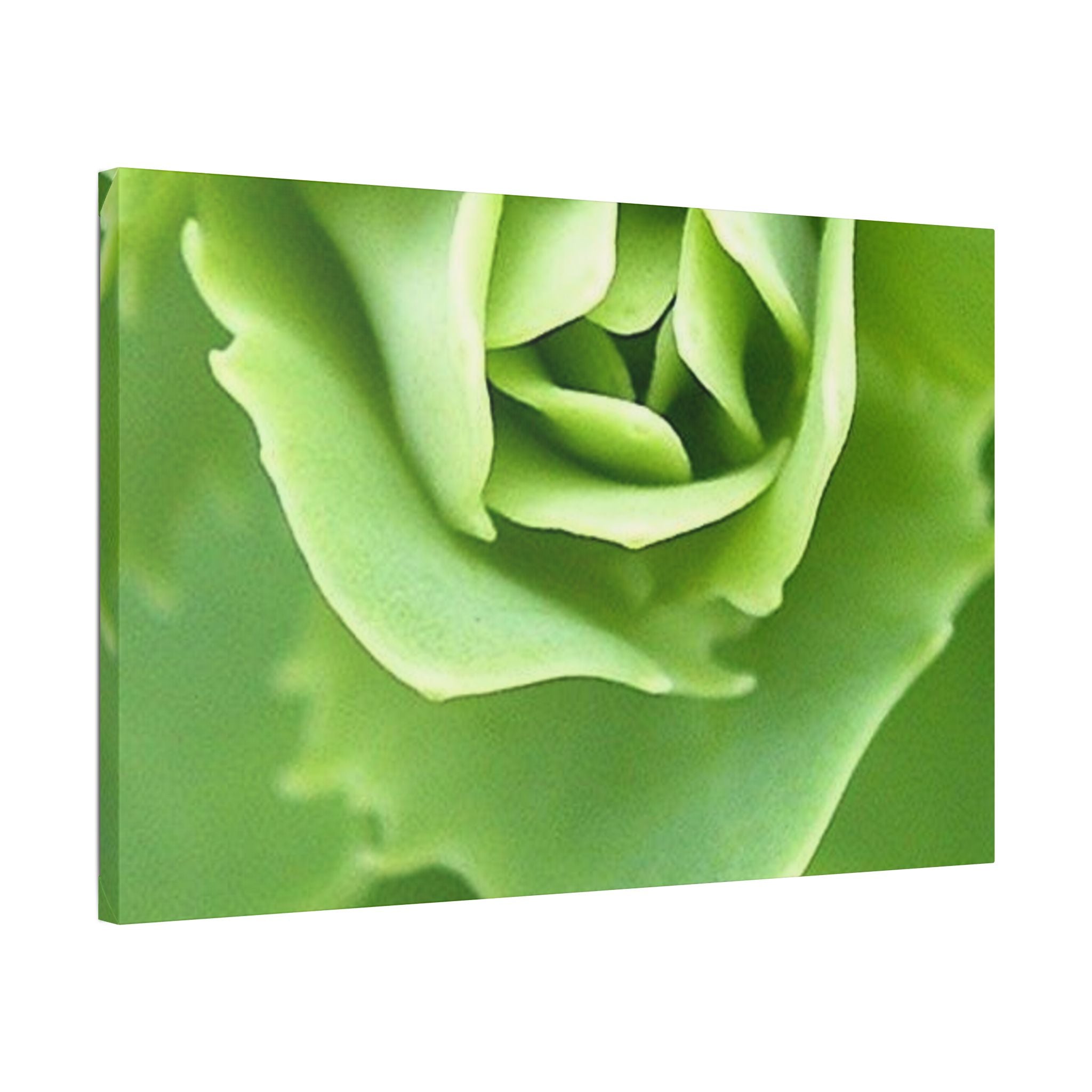 Classic Stretched Canvas
