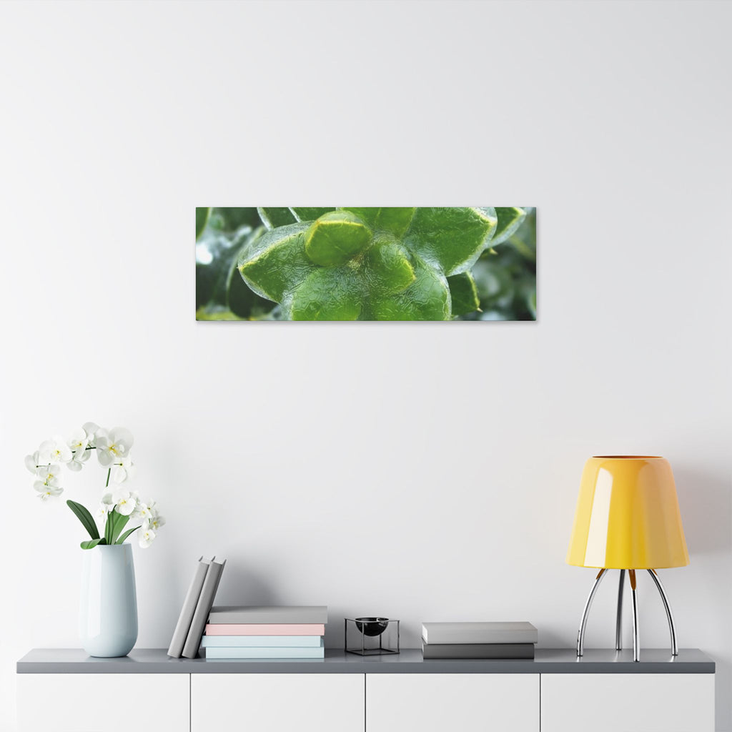 Classic Stretched Canvas