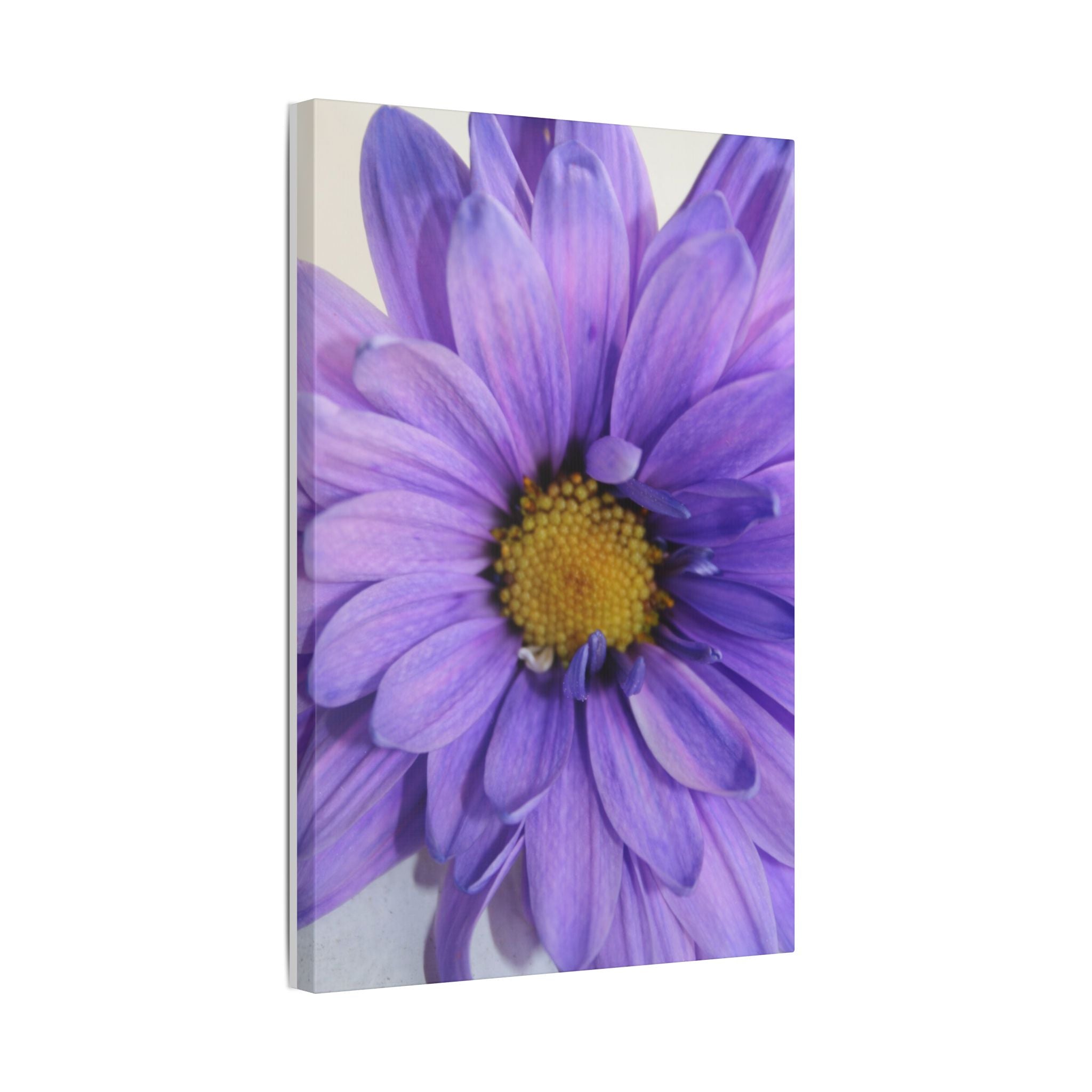 Classic Stretched Canvas