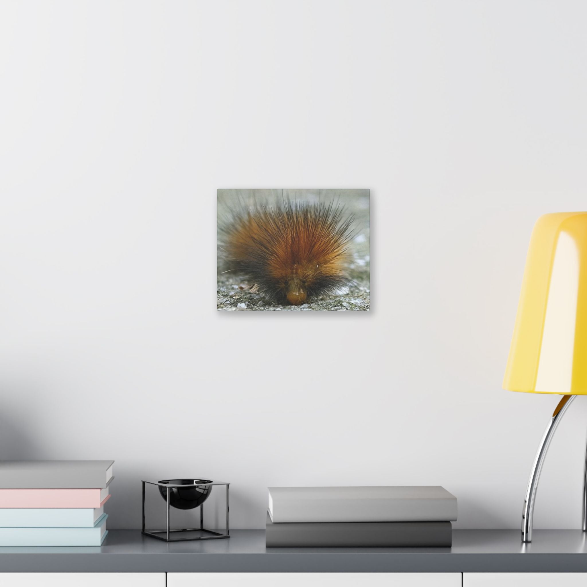 Classic Stretched Canvas - Platypillar