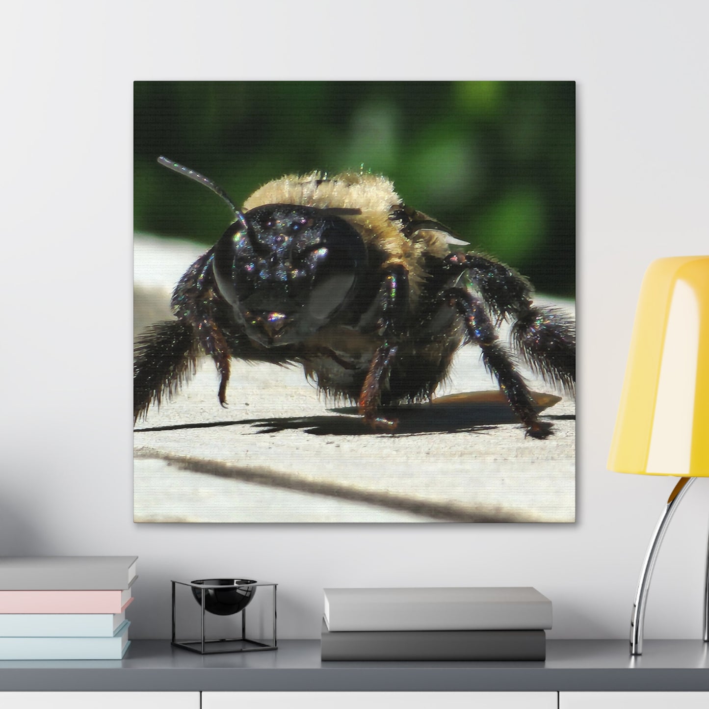 Canvas Gallery Wraps - Bee