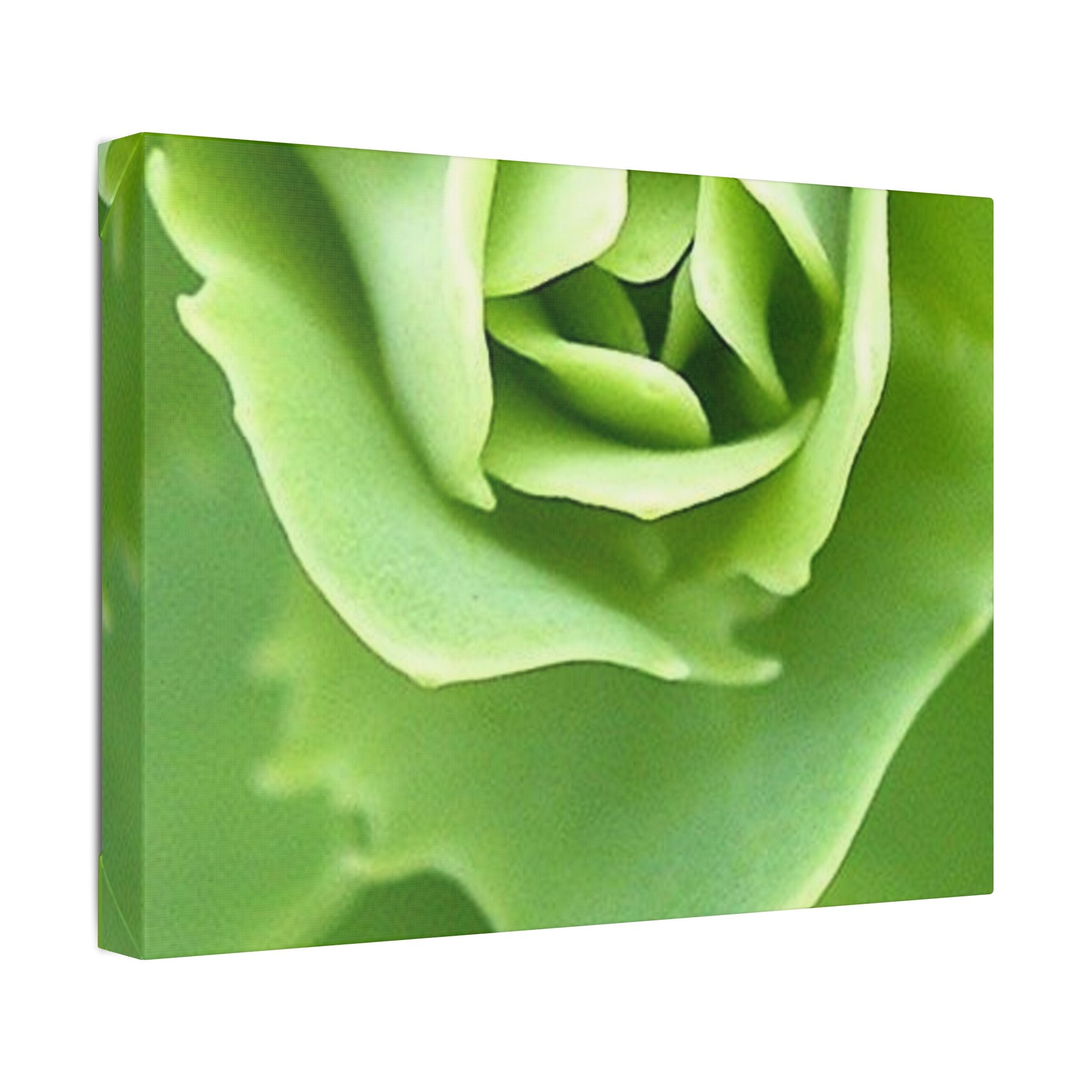 Classic Stretched Canvas