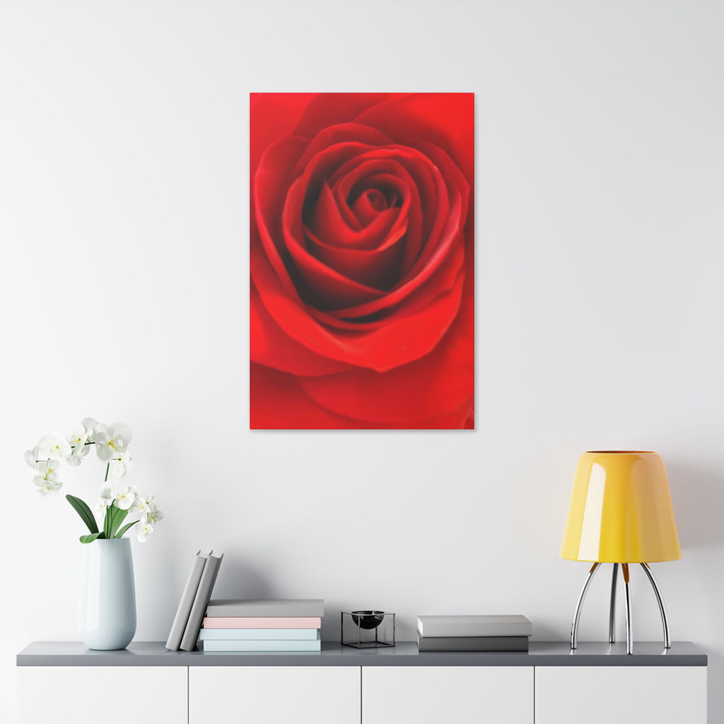 Classic Stretched Canvas - Rose