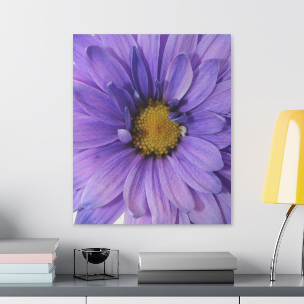 Classic Stretched Canvas