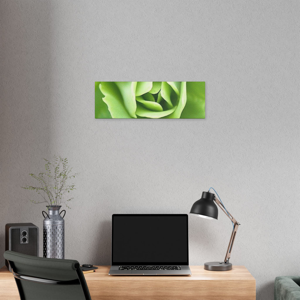 Classic Stretched Canvas