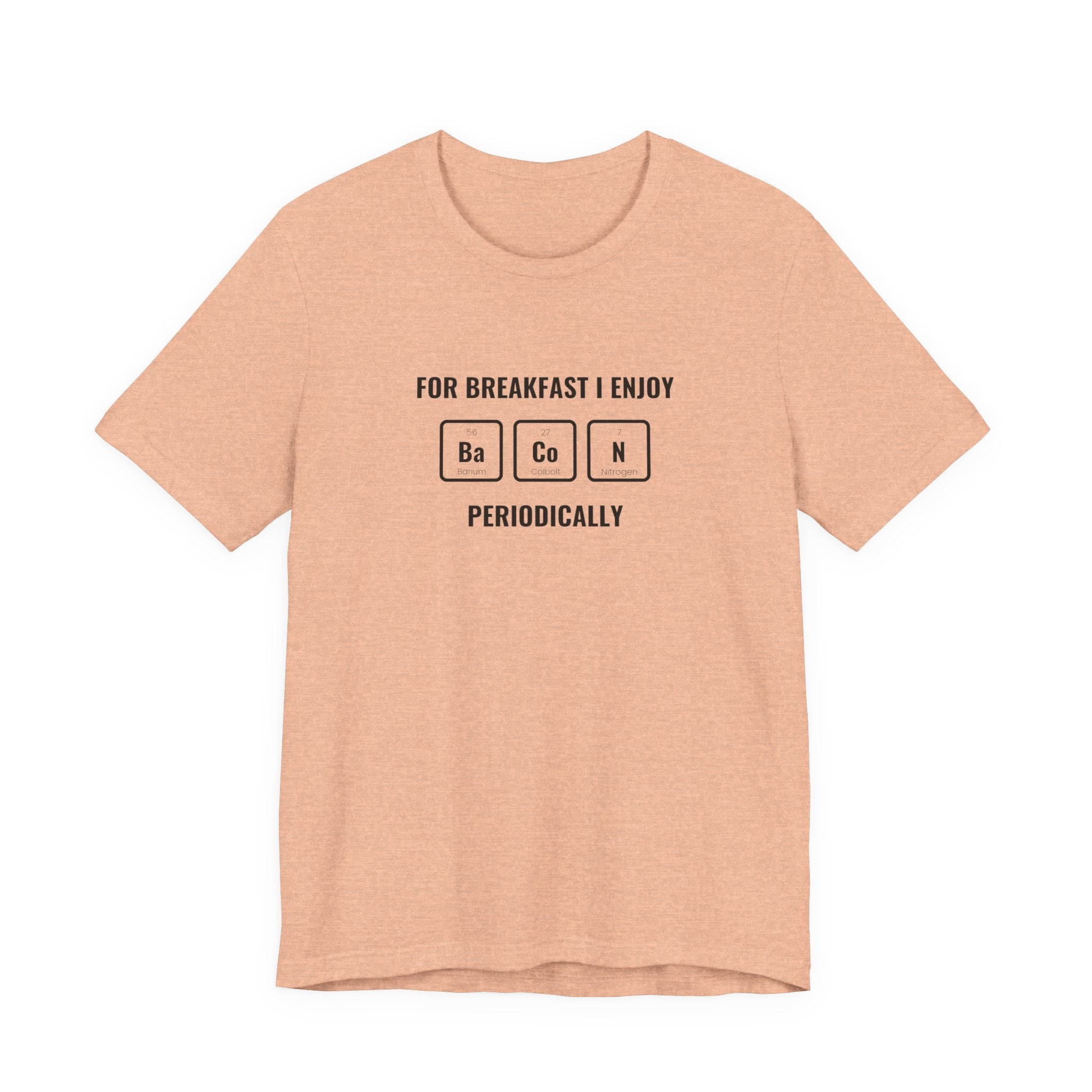 Unisex Jersey Short Sleeve Tee