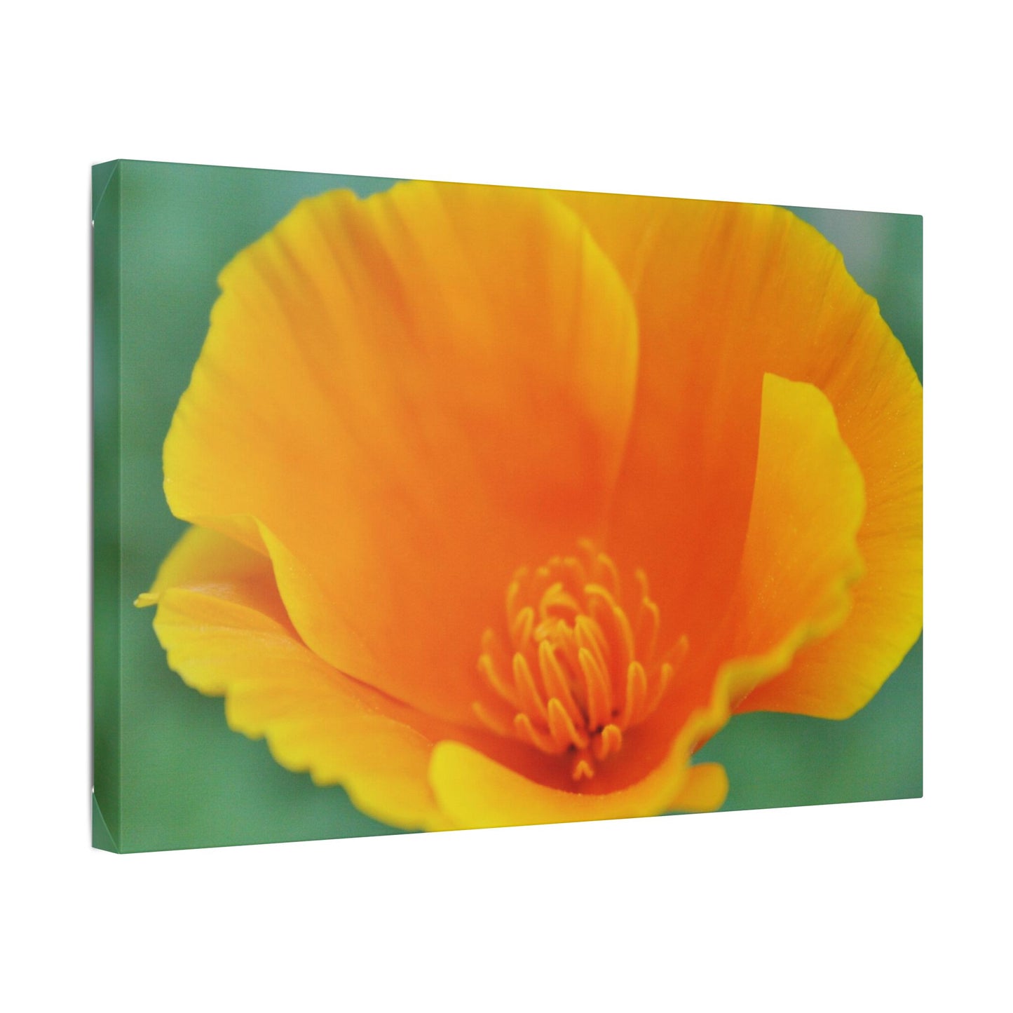 Classic Stretched Canvas