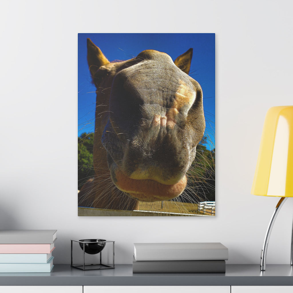 Classic Stretched Canvas - Its A Horse Of Course