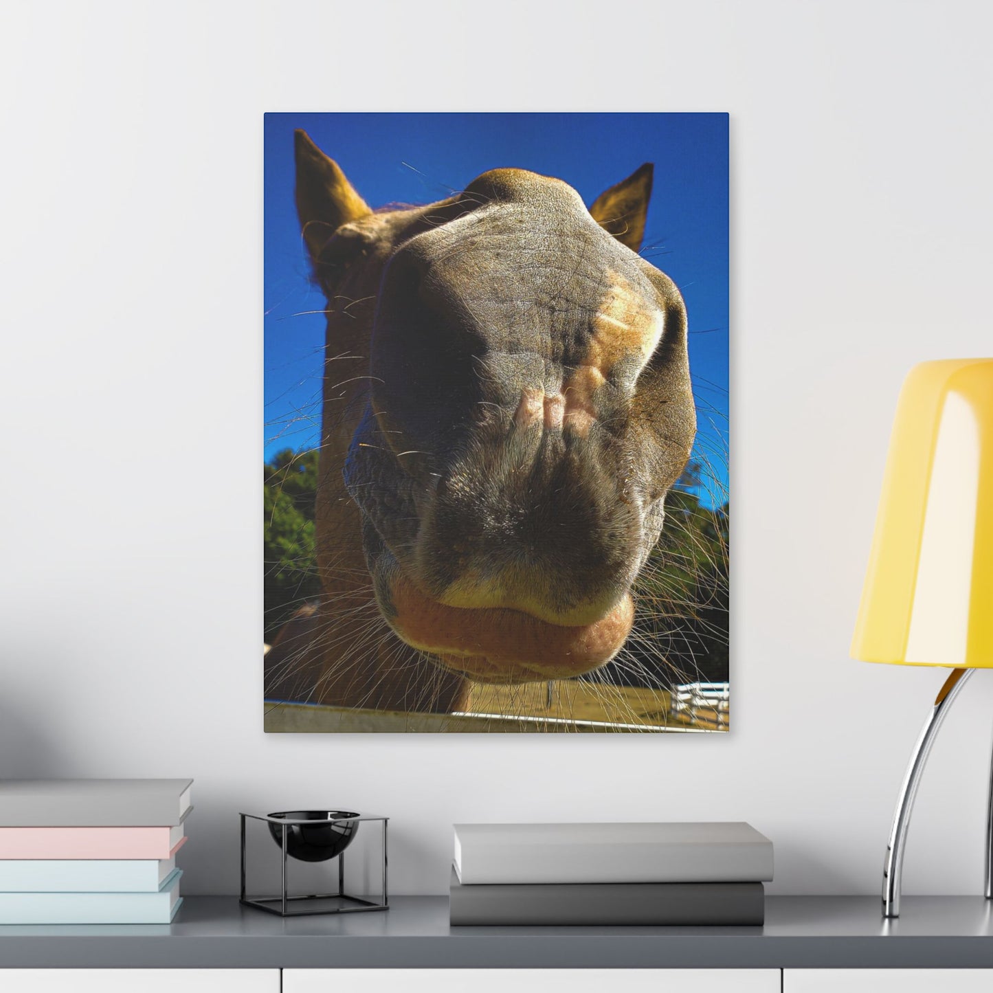 Classic Stretched Canvas - Its A Horse Of Course