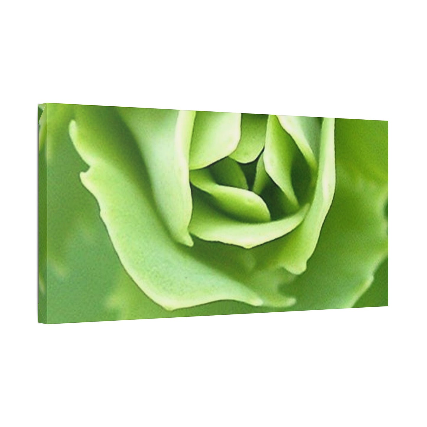 Classic Stretched Canvas