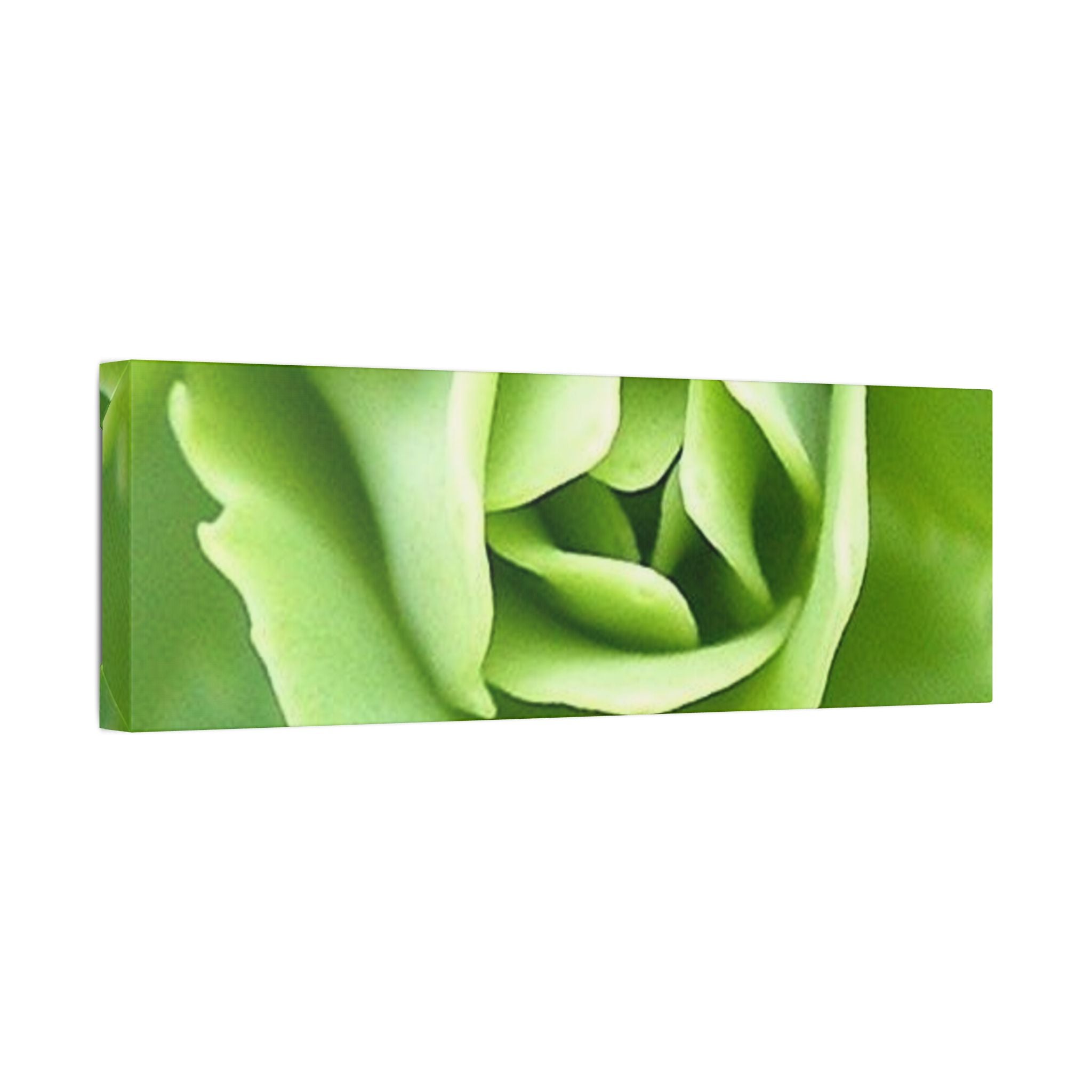 Classic Stretched Canvas