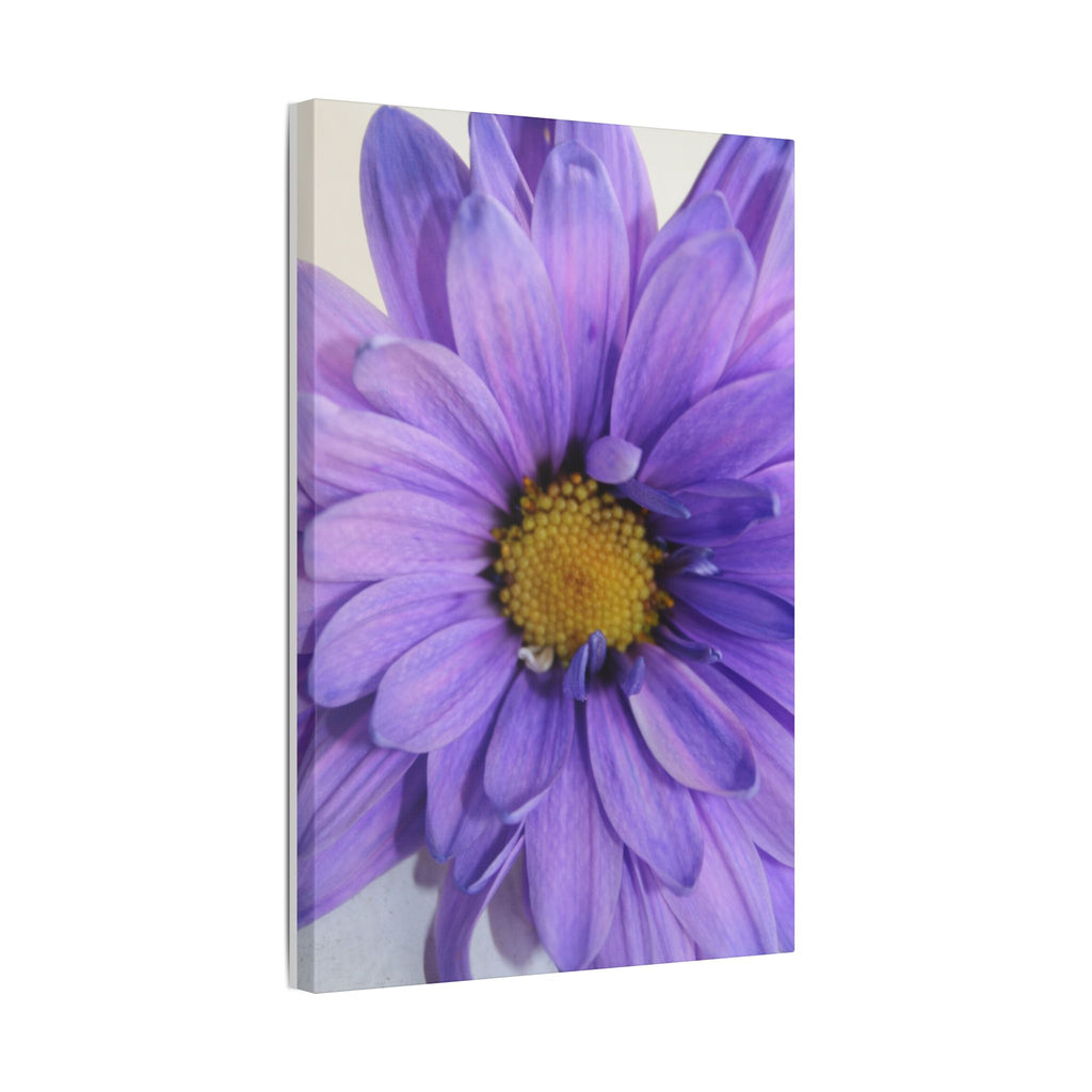 Classic Stretched Canvas