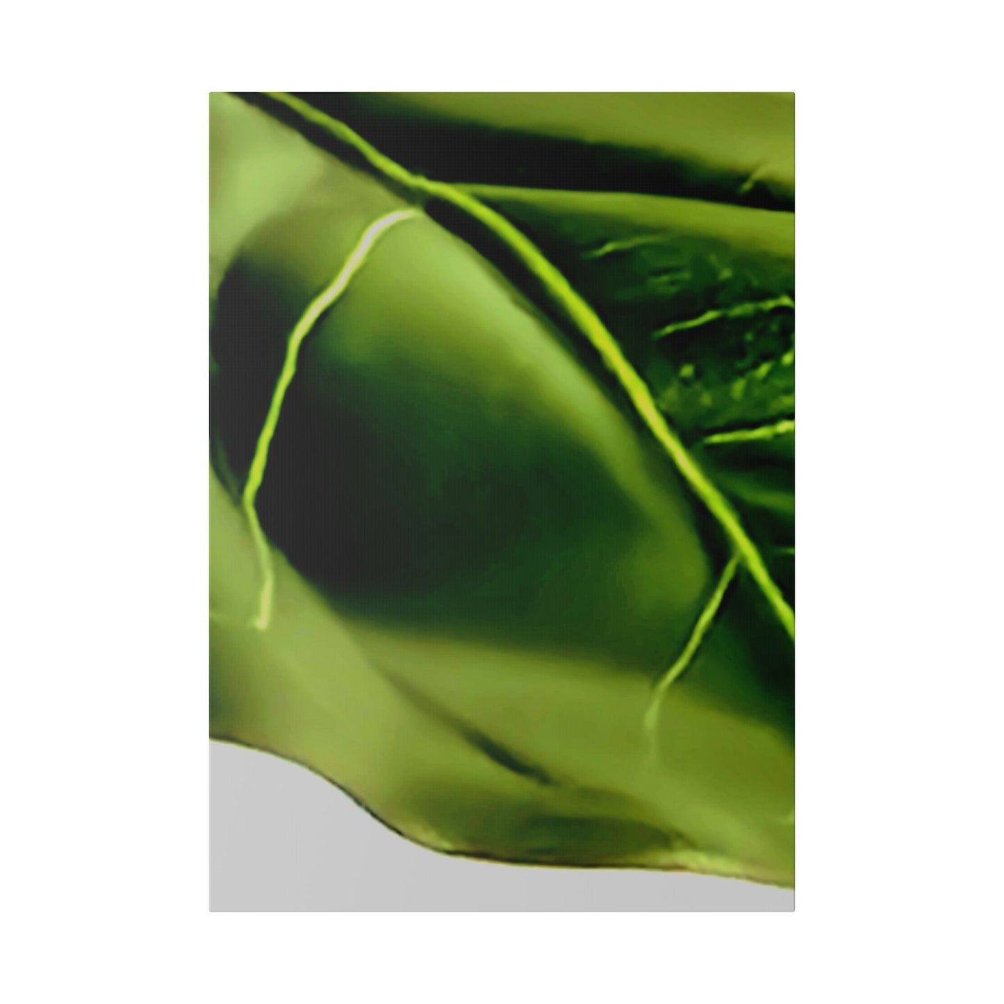 Classic Stretched Canvas - Leaf