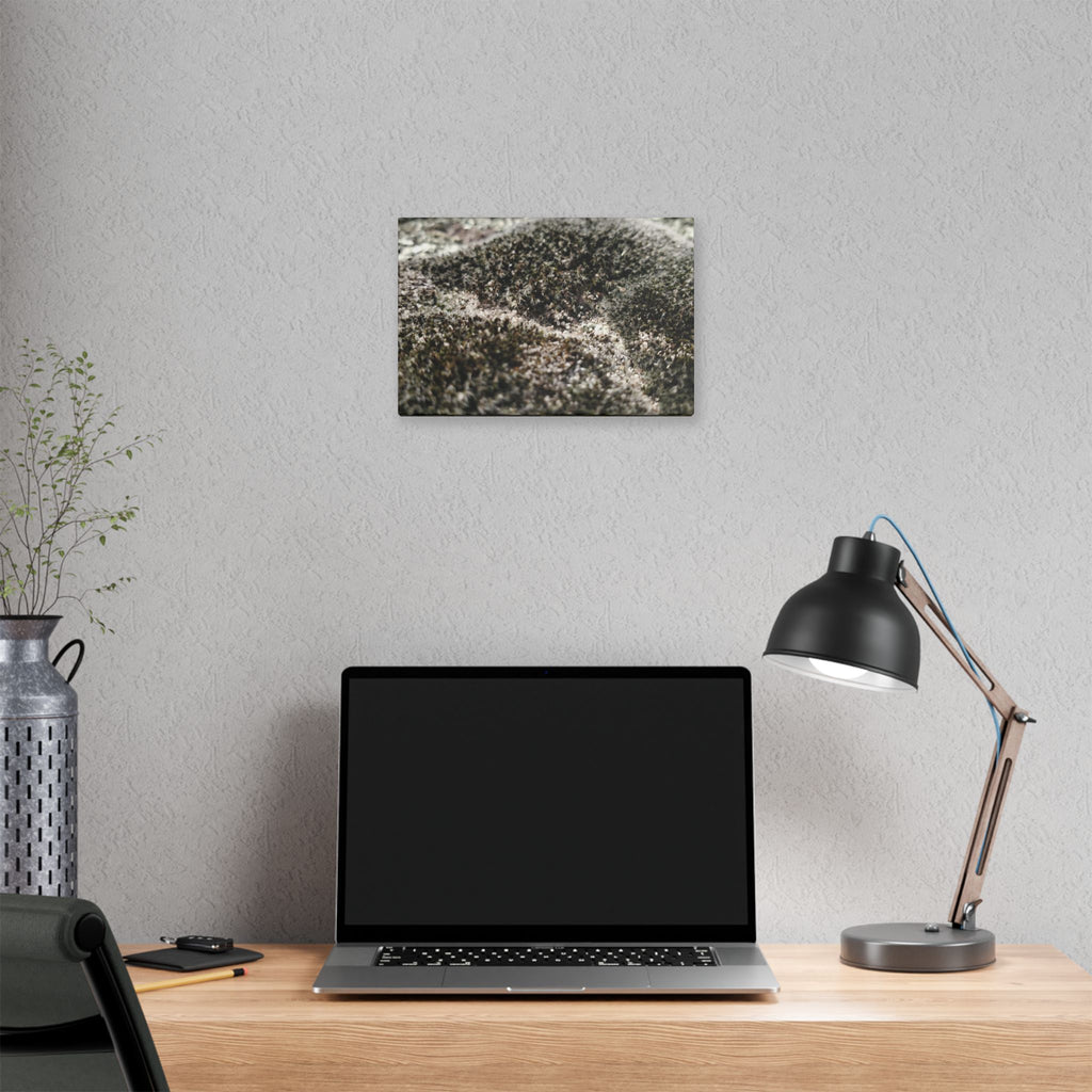 Classic Stretched Canvas - Moss