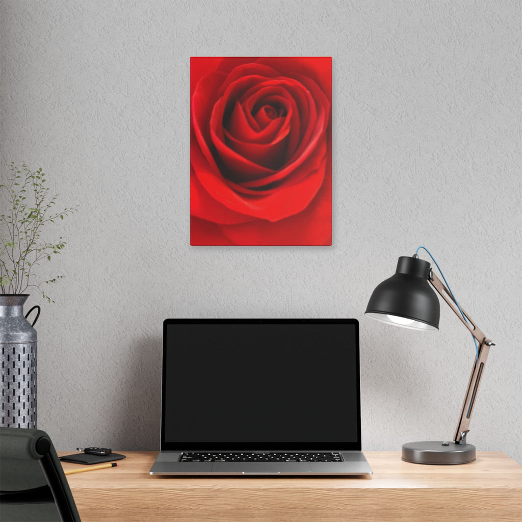 Classic Stretched Canvas - Rose
